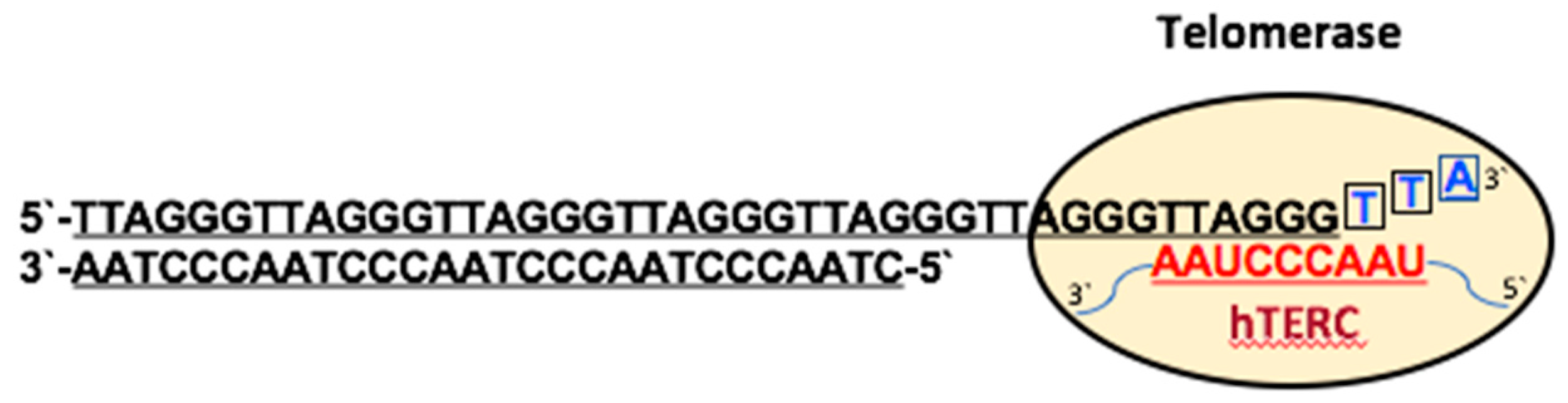 Viruses 09 00217 g002