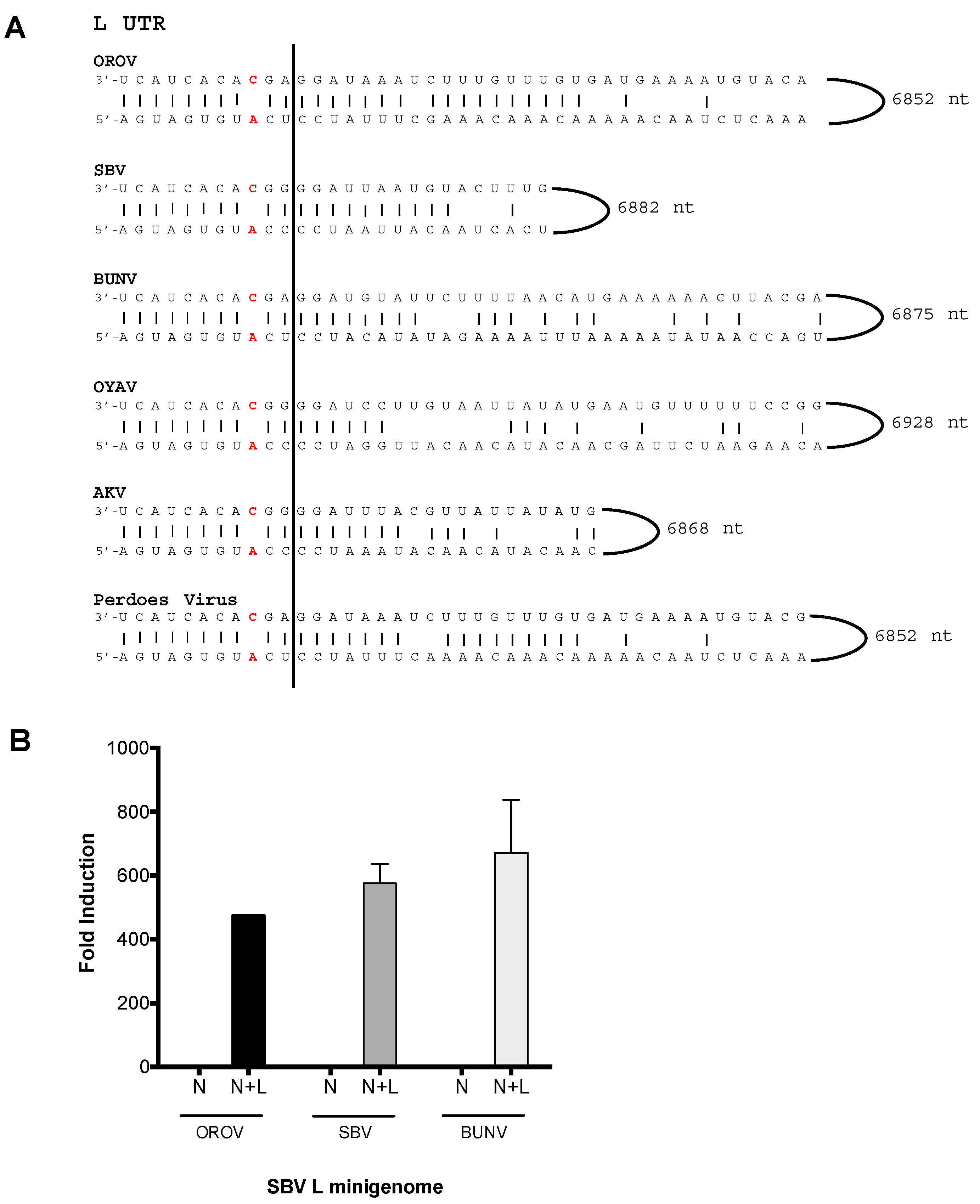 Viruses 09 00220 g004