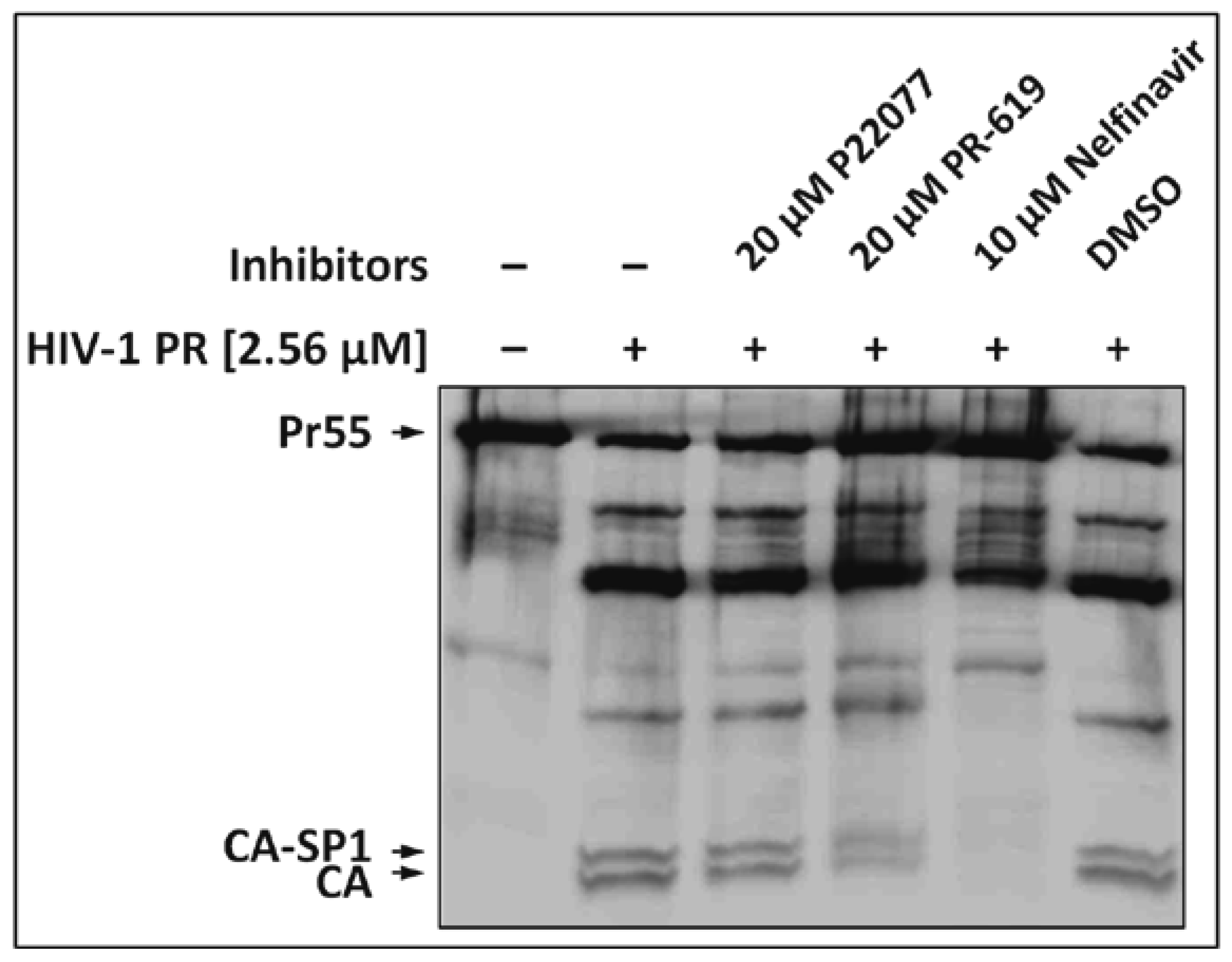 Viruses 09 00222 g002 Viruses 09 00222 g002