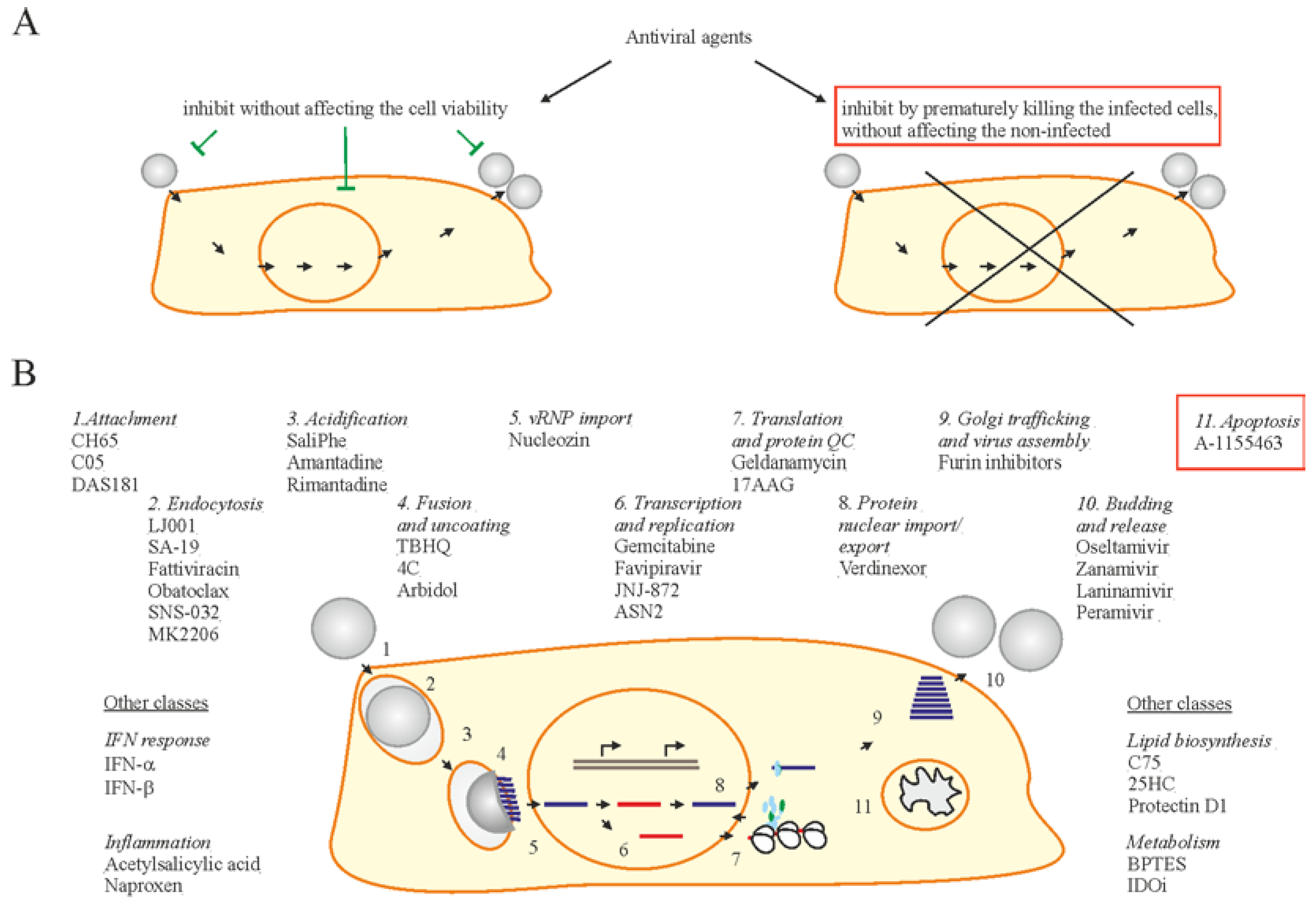 Viruses 09 00223 g003