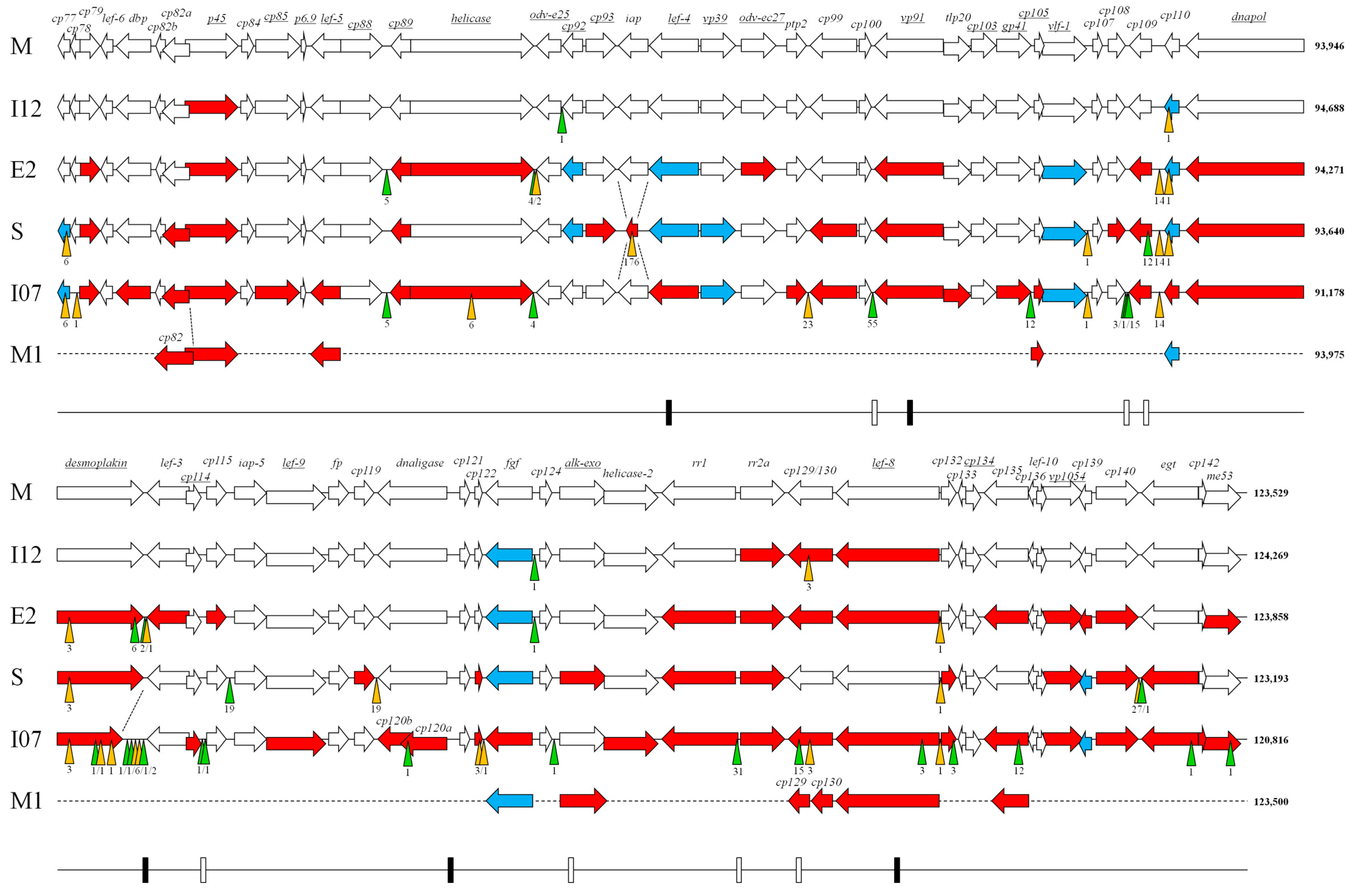 Viruses 09 00227 g001b
