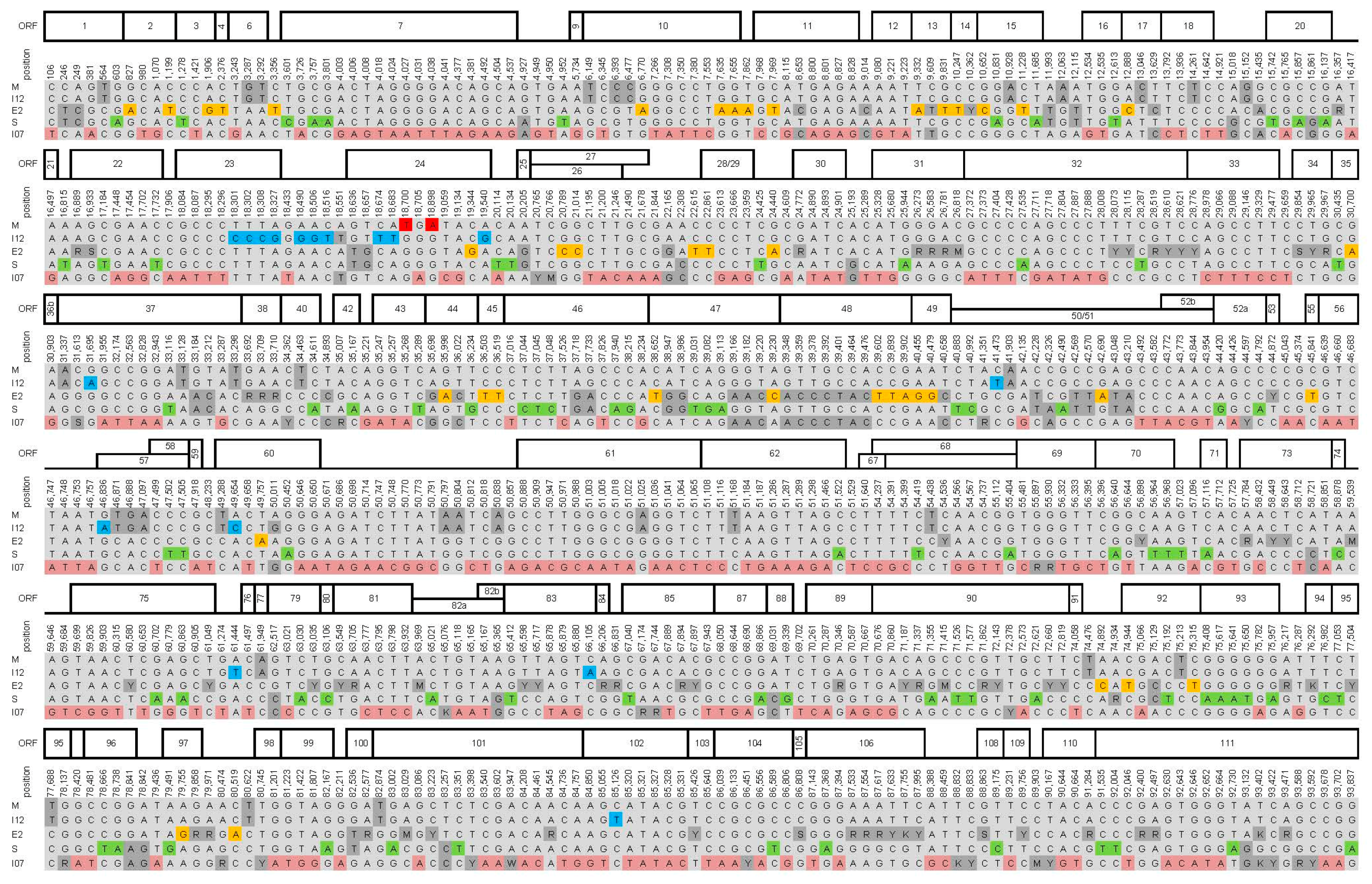 Viruses 09 00227 g003a