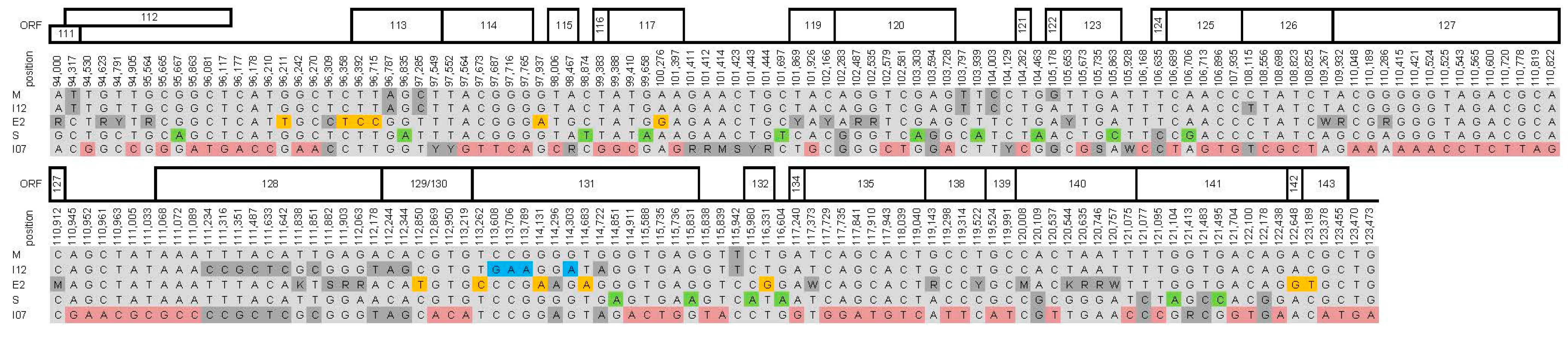 Viruses 09 00227 g003b