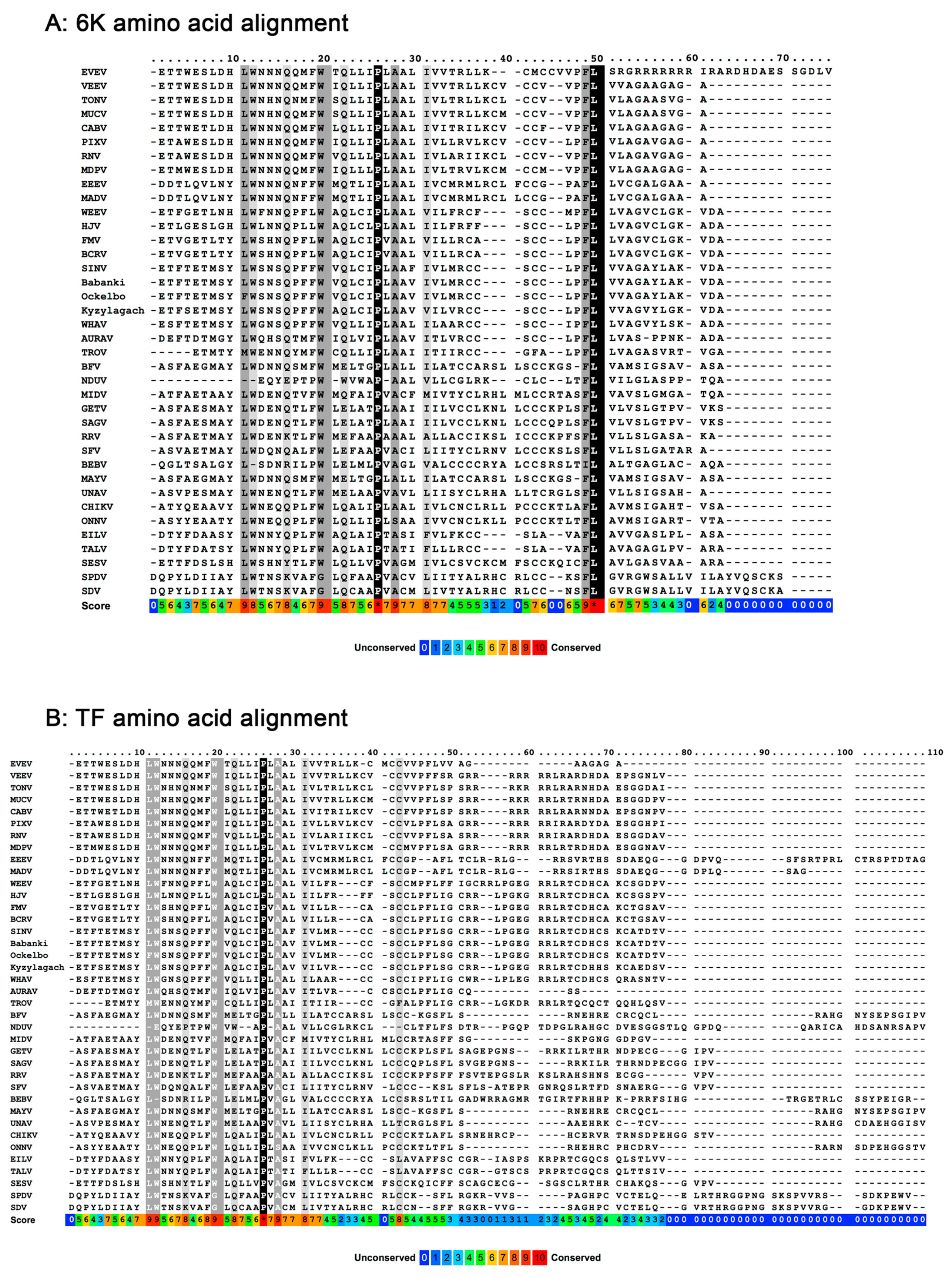 Viruses 09 00228 g002 Viruses 09 00228 g002