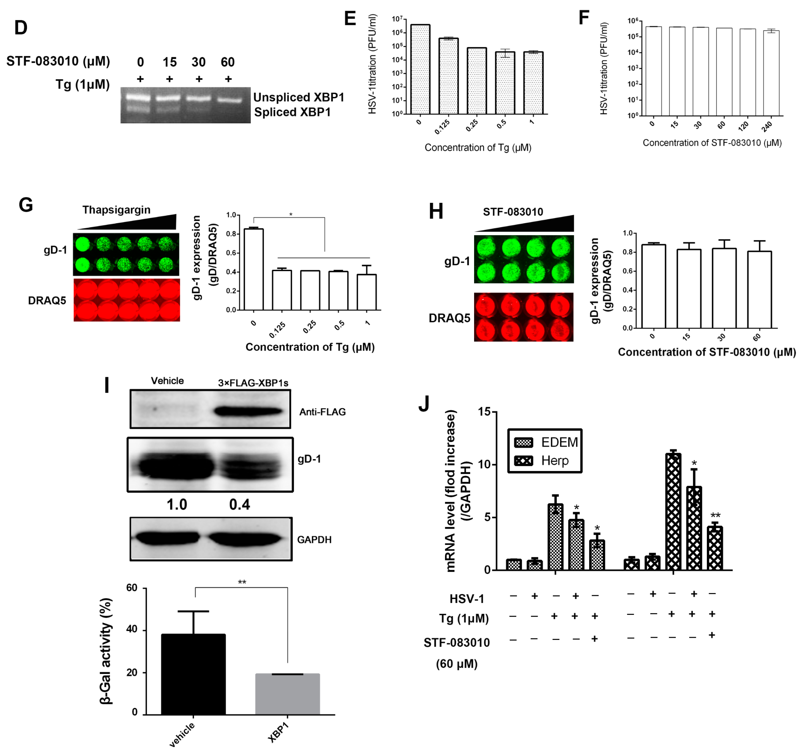 Viruses 09 00235 g002b