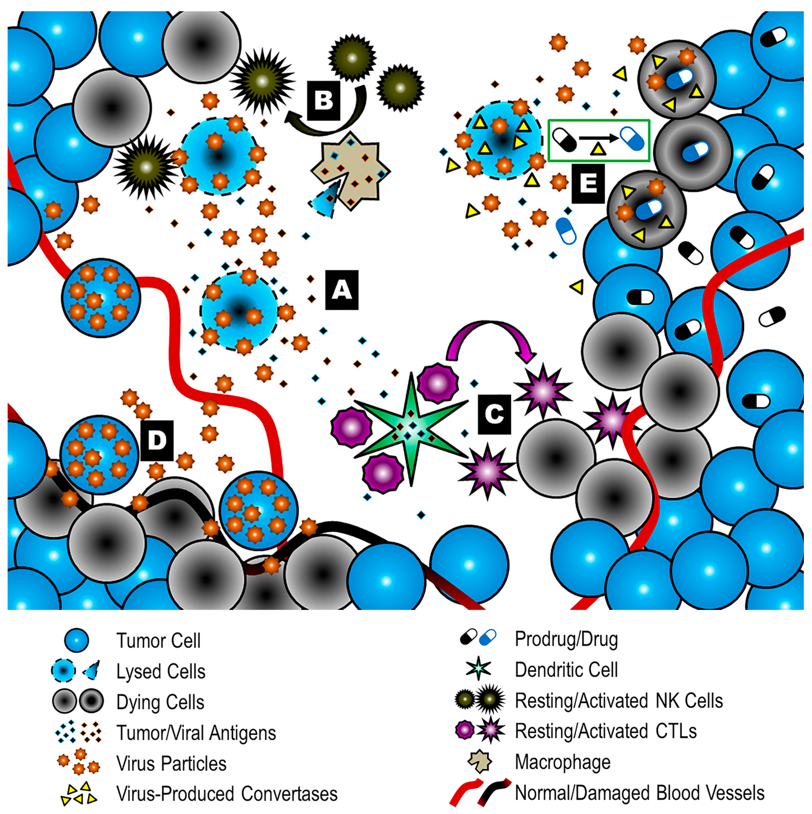 Viruses 09 00239 g003 Viruses 09 00239 g003