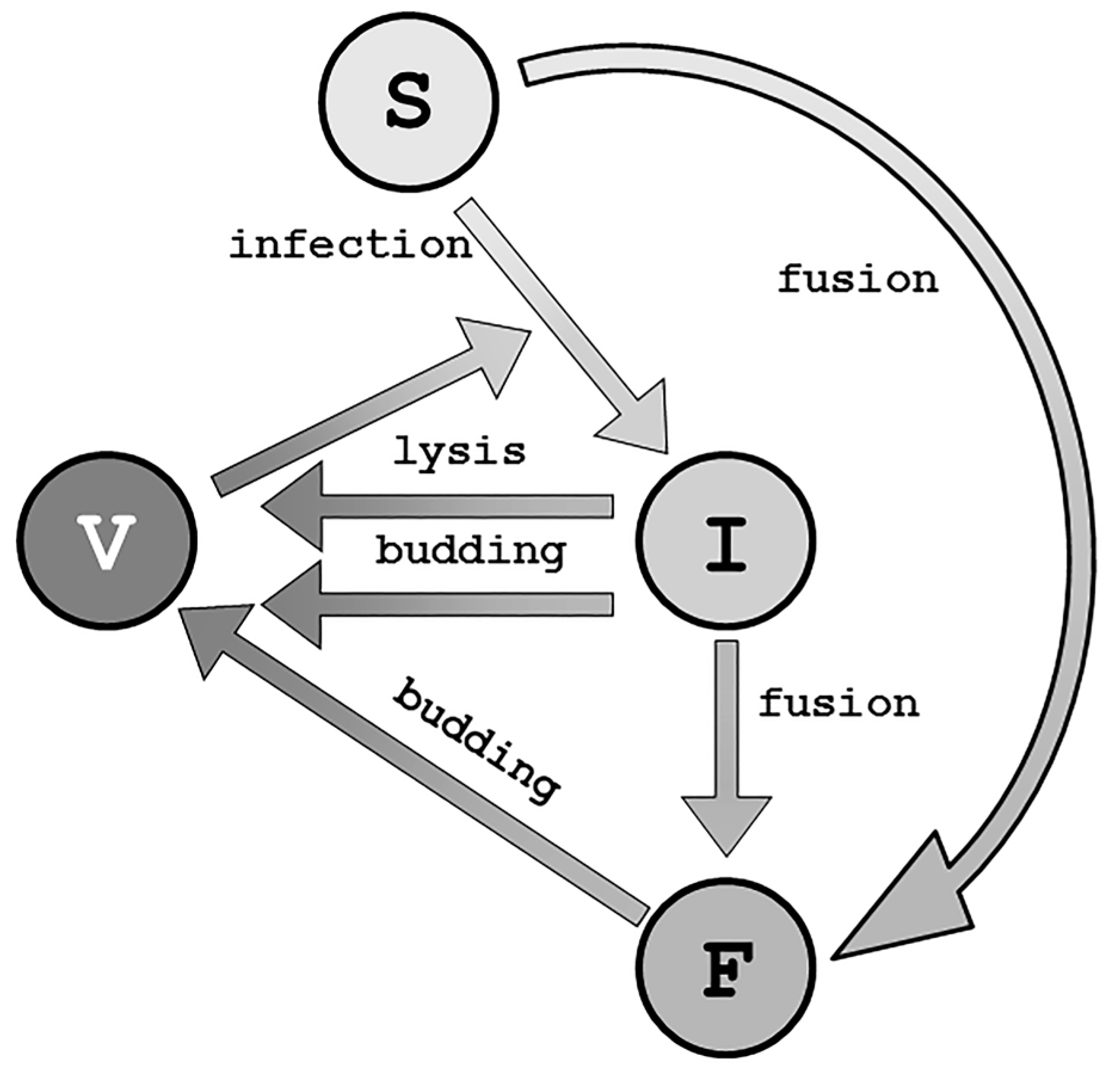 Viruses 09 00239 g004 Viruses 09 00239 g004