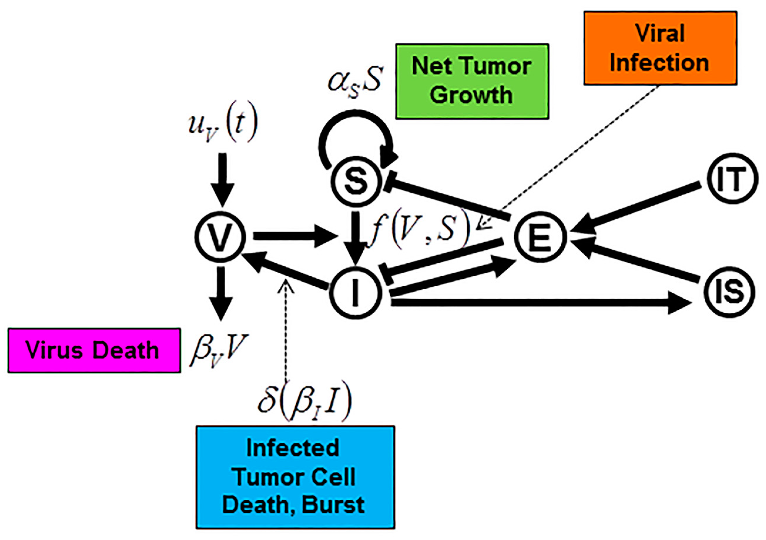 Viruses 09 00239 g005 Viruses 09 00239 g005
