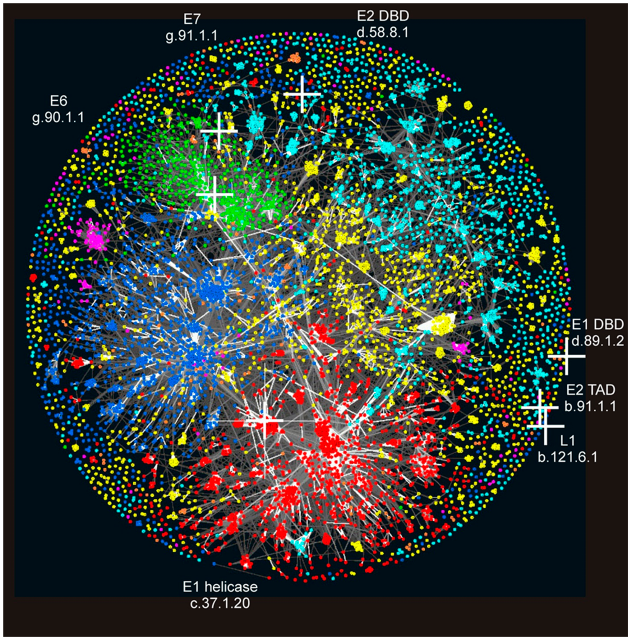 Viruses 09 00240 g002