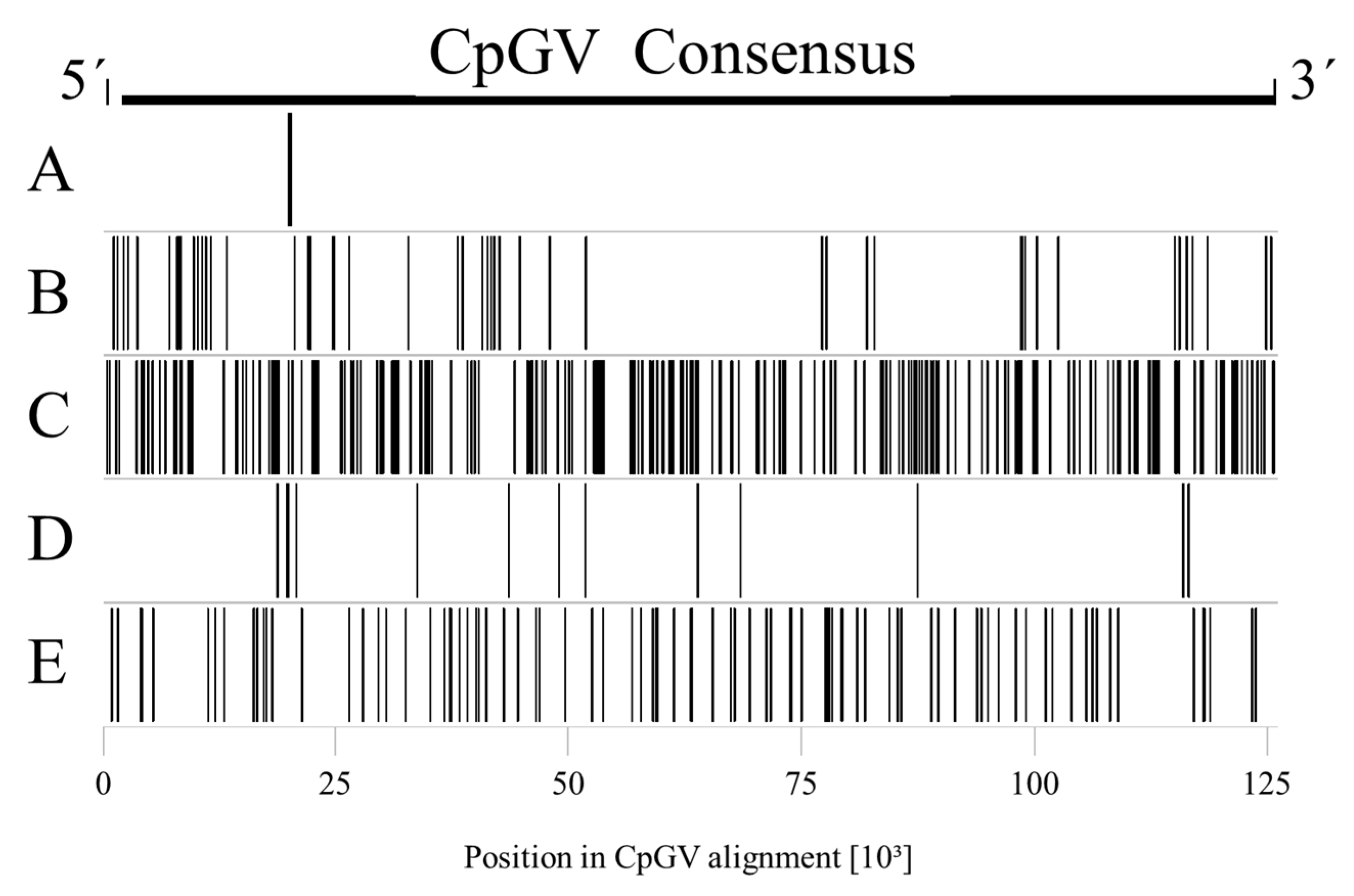 Viruses 09 00250 g003