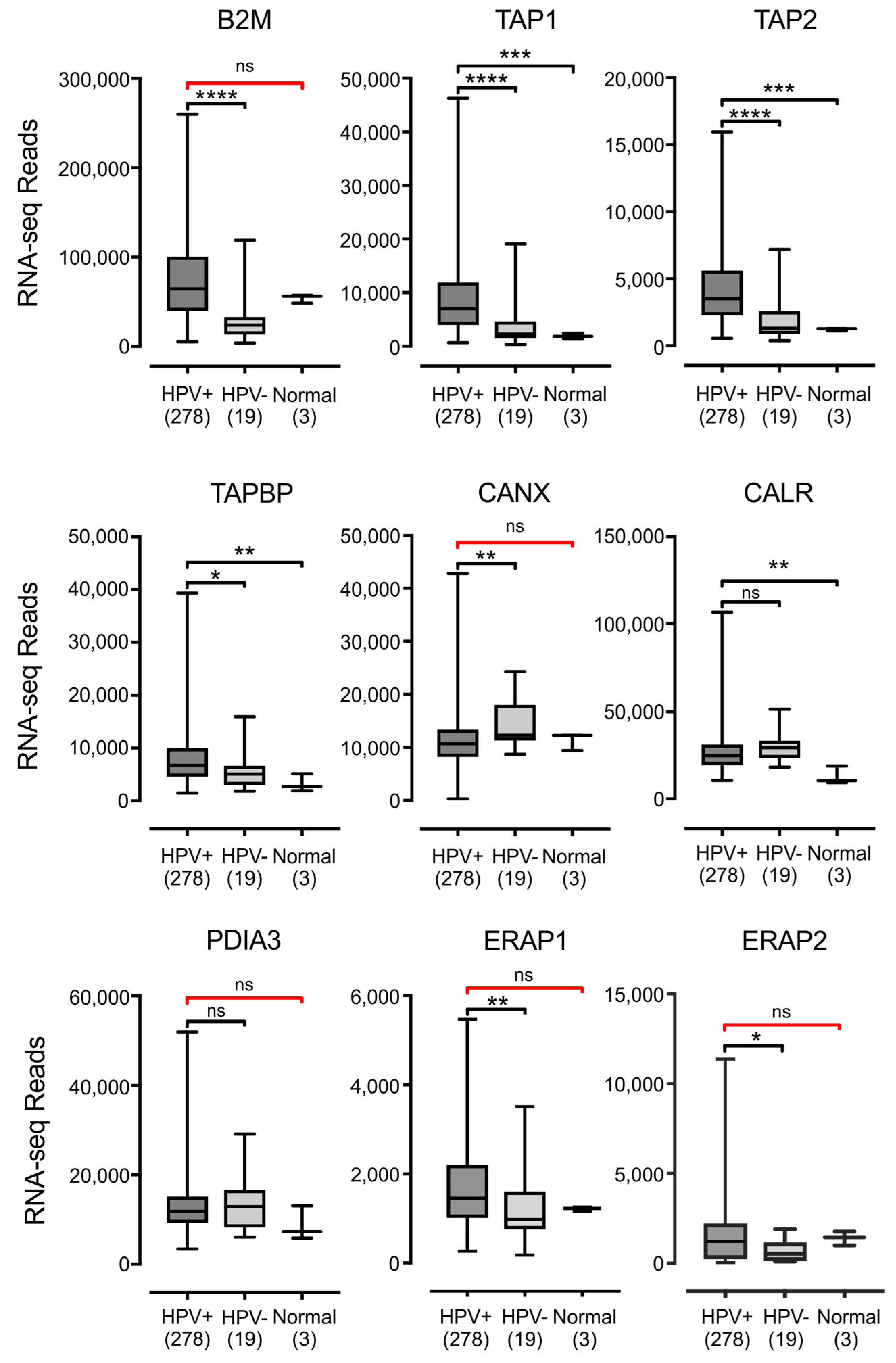 Viruses 09 00252 g004 Viruses 09 00252 g004