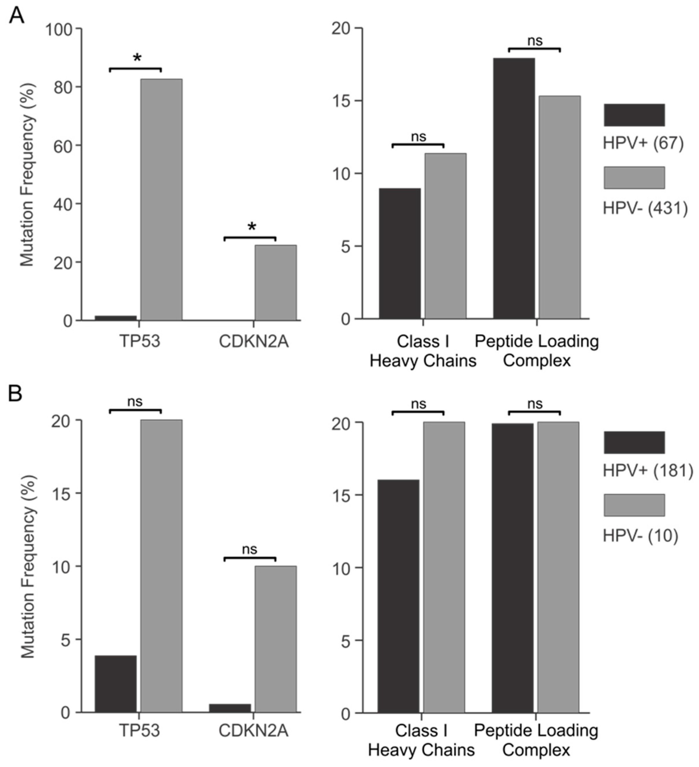Viruses 09 00252 g007 Viruses 09 00252 g007