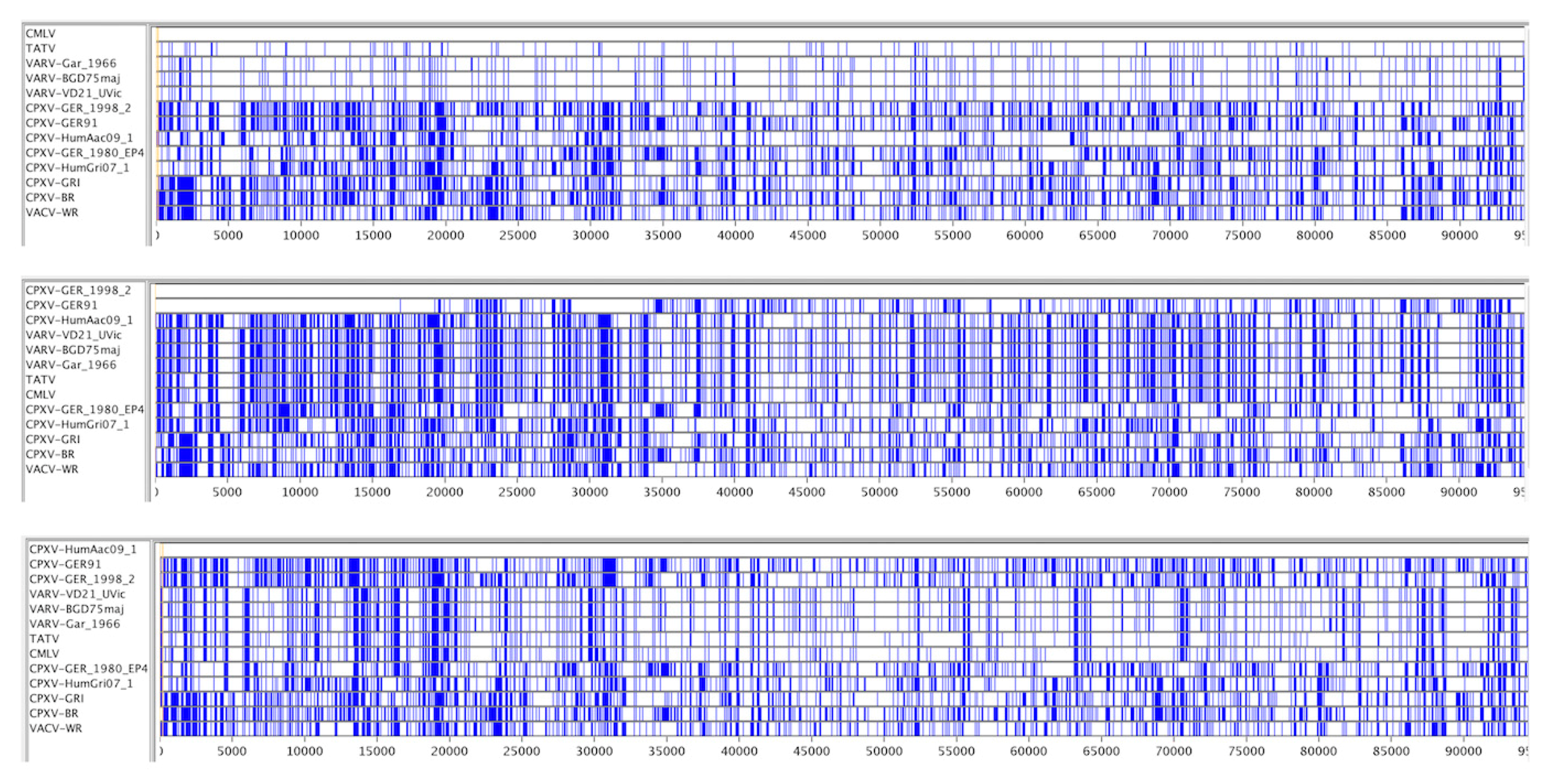 Viruses 09 00253 g006 Viruses 09 00253 g006