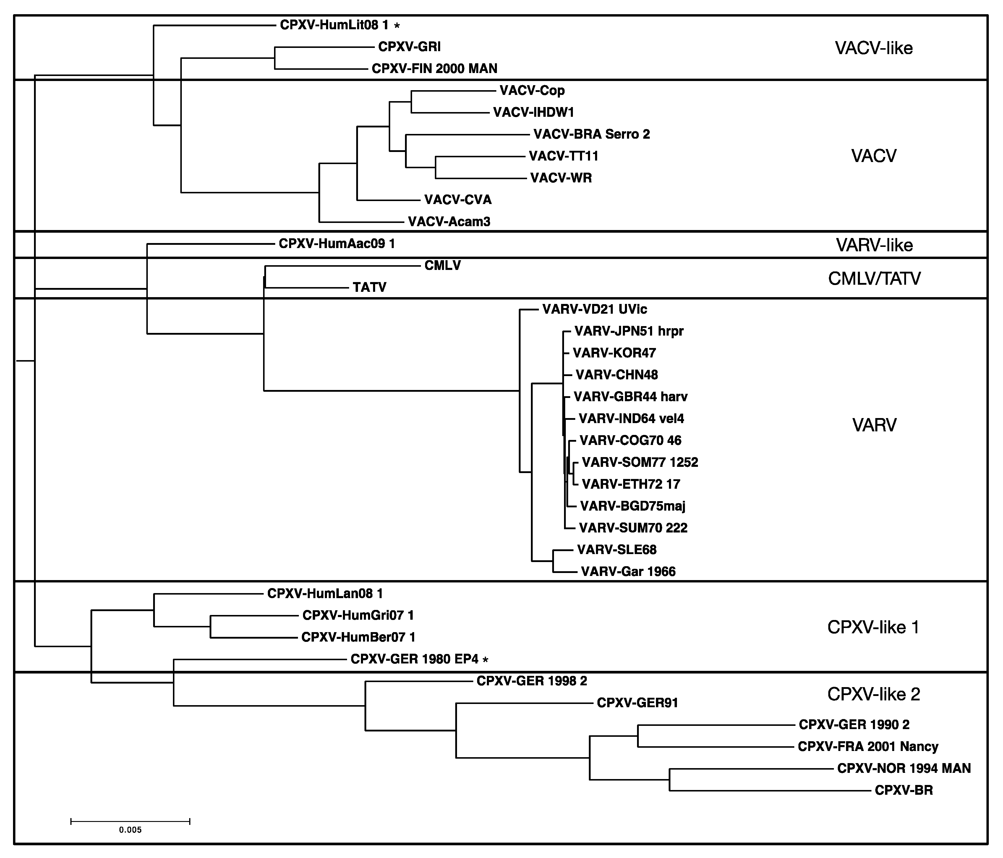 Viruses 09 00253 g008 Viruses 09 00253 g008