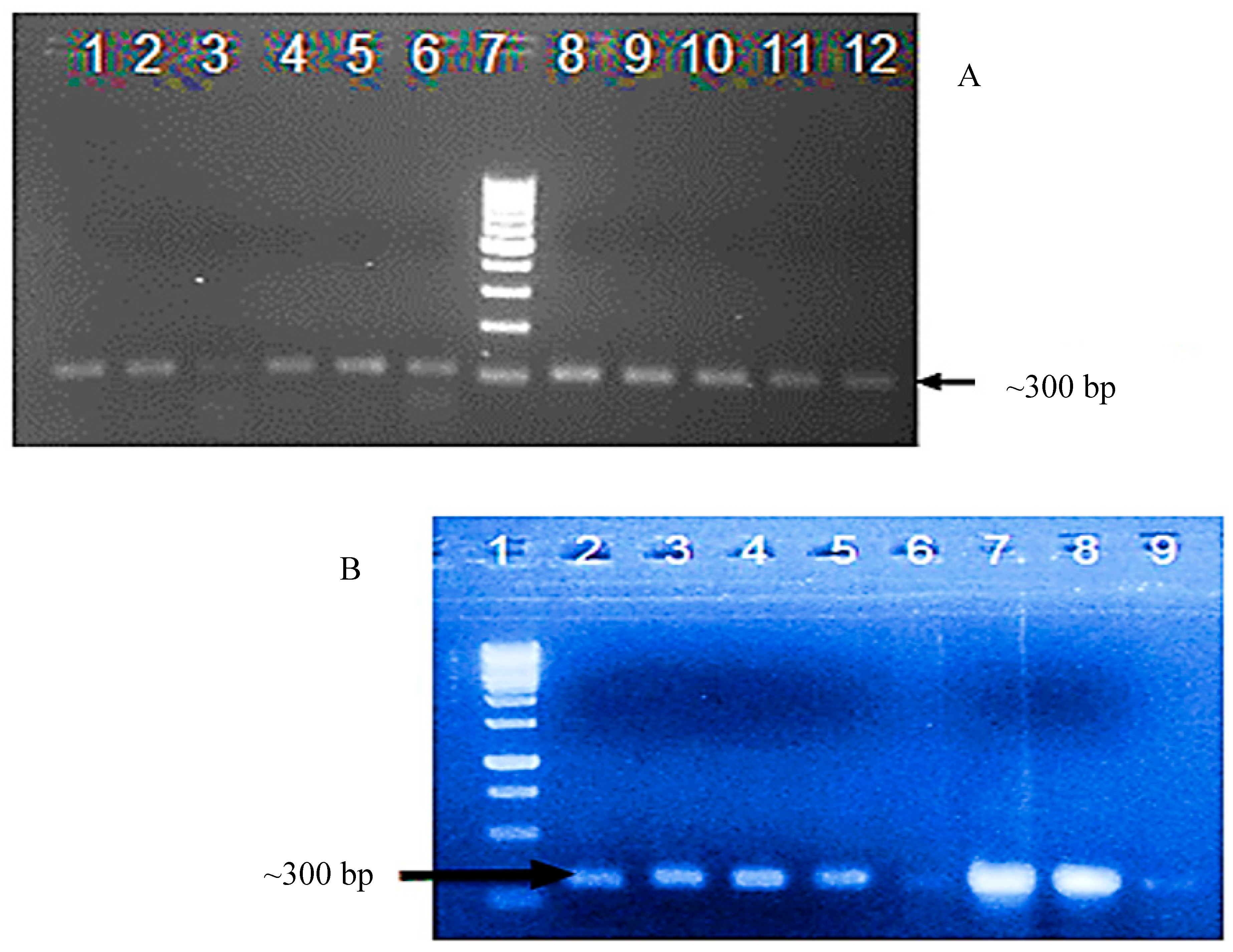 Viruses 09 00257 g002