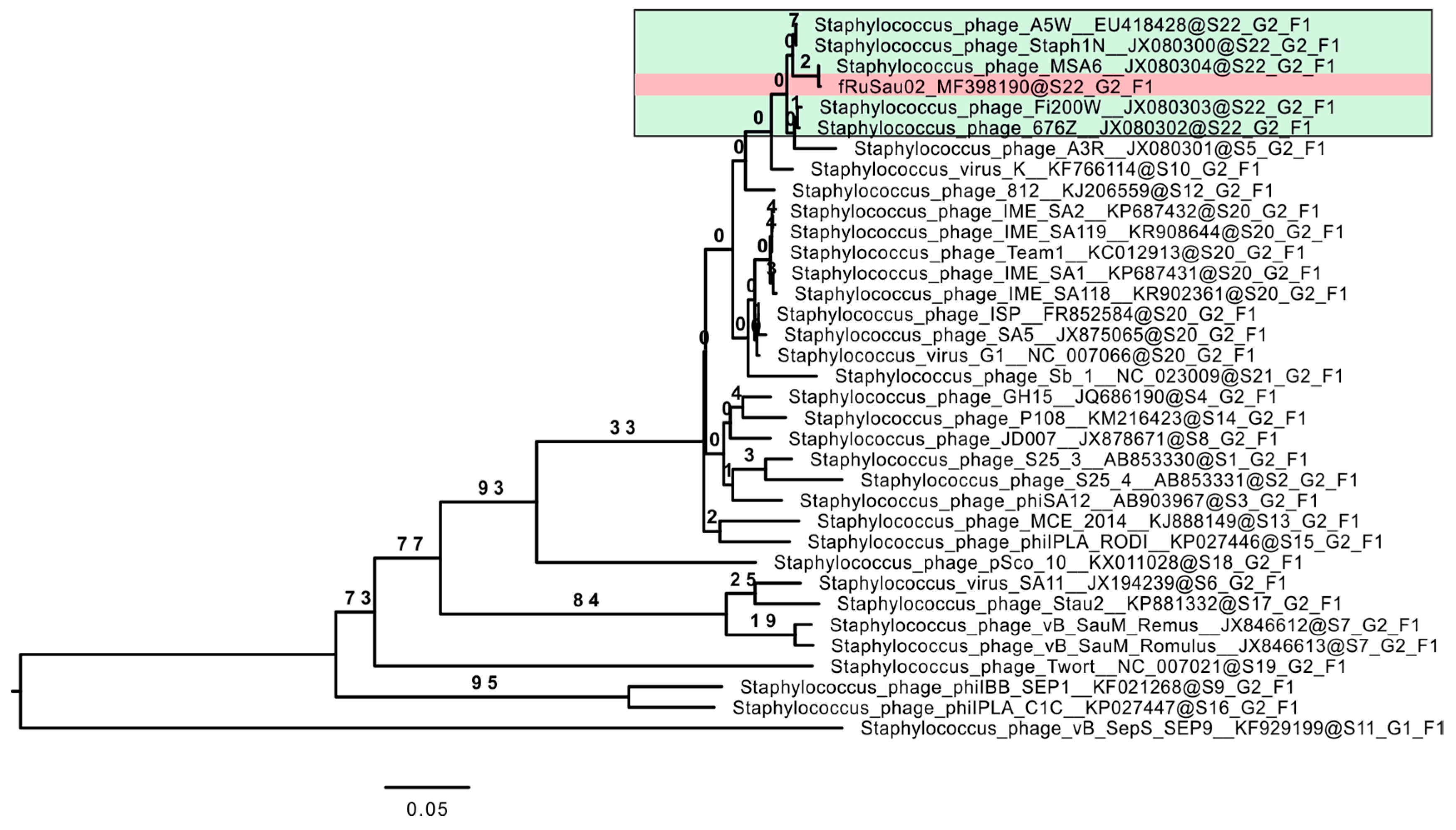 Viruses 09 00258 g005