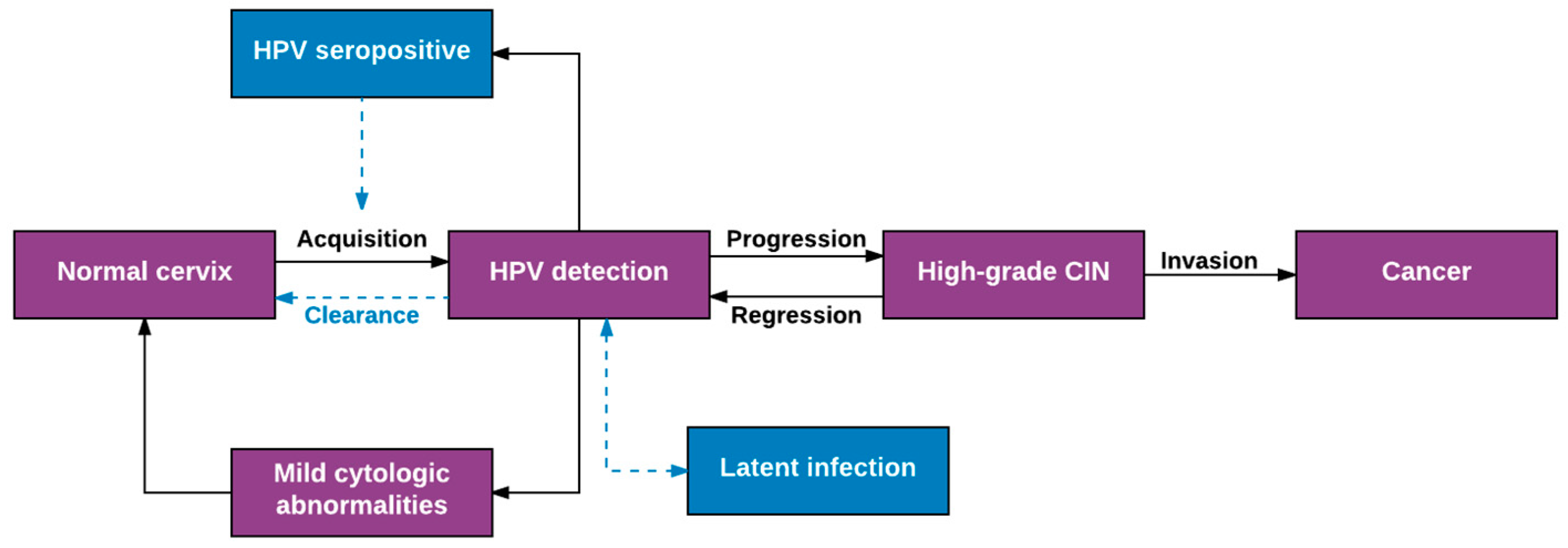 differences in human papillomavirus infection natural history