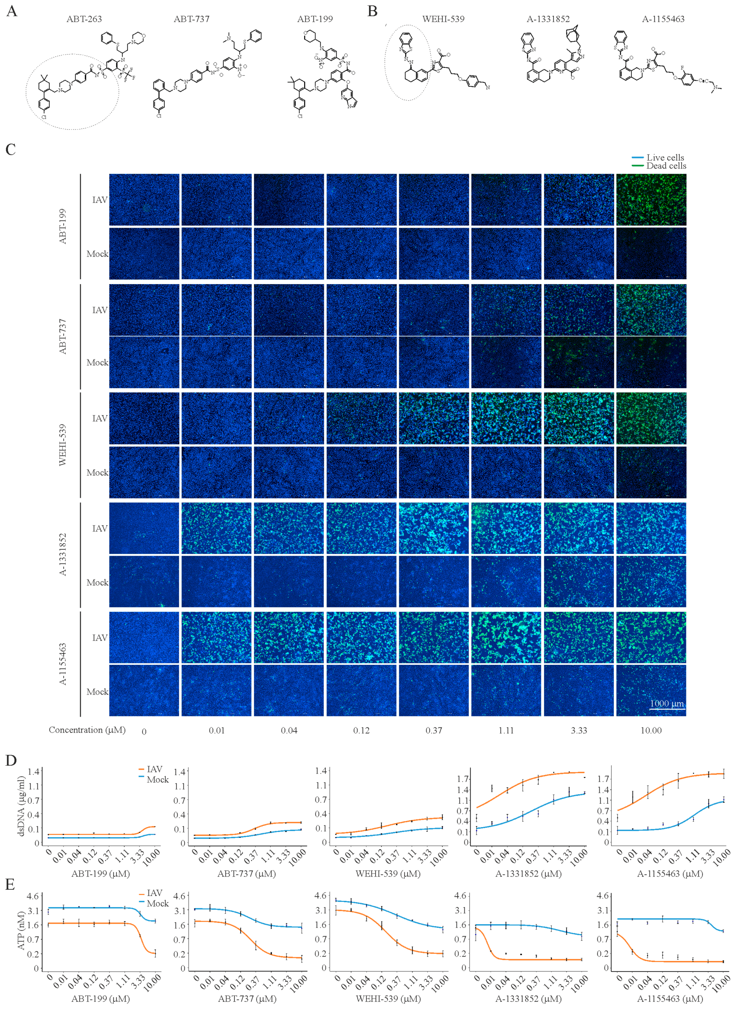 Viruses 09 00271 g004