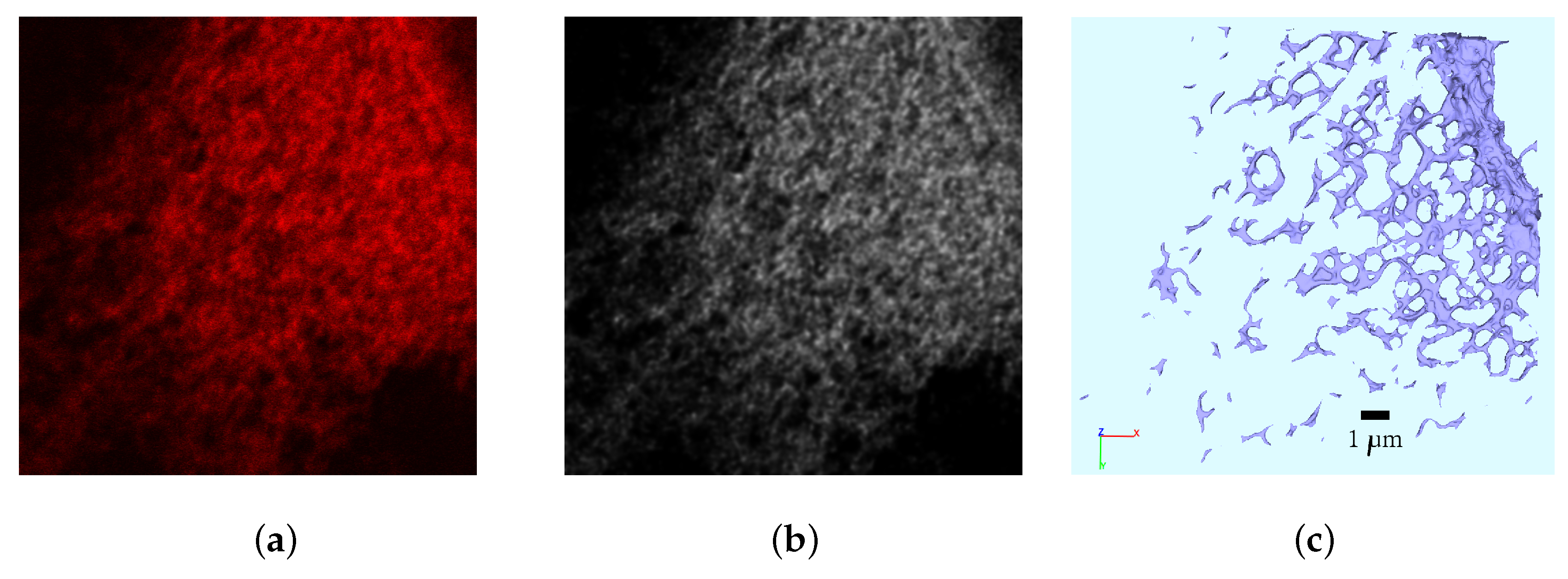 Viruses 09 00282 g002