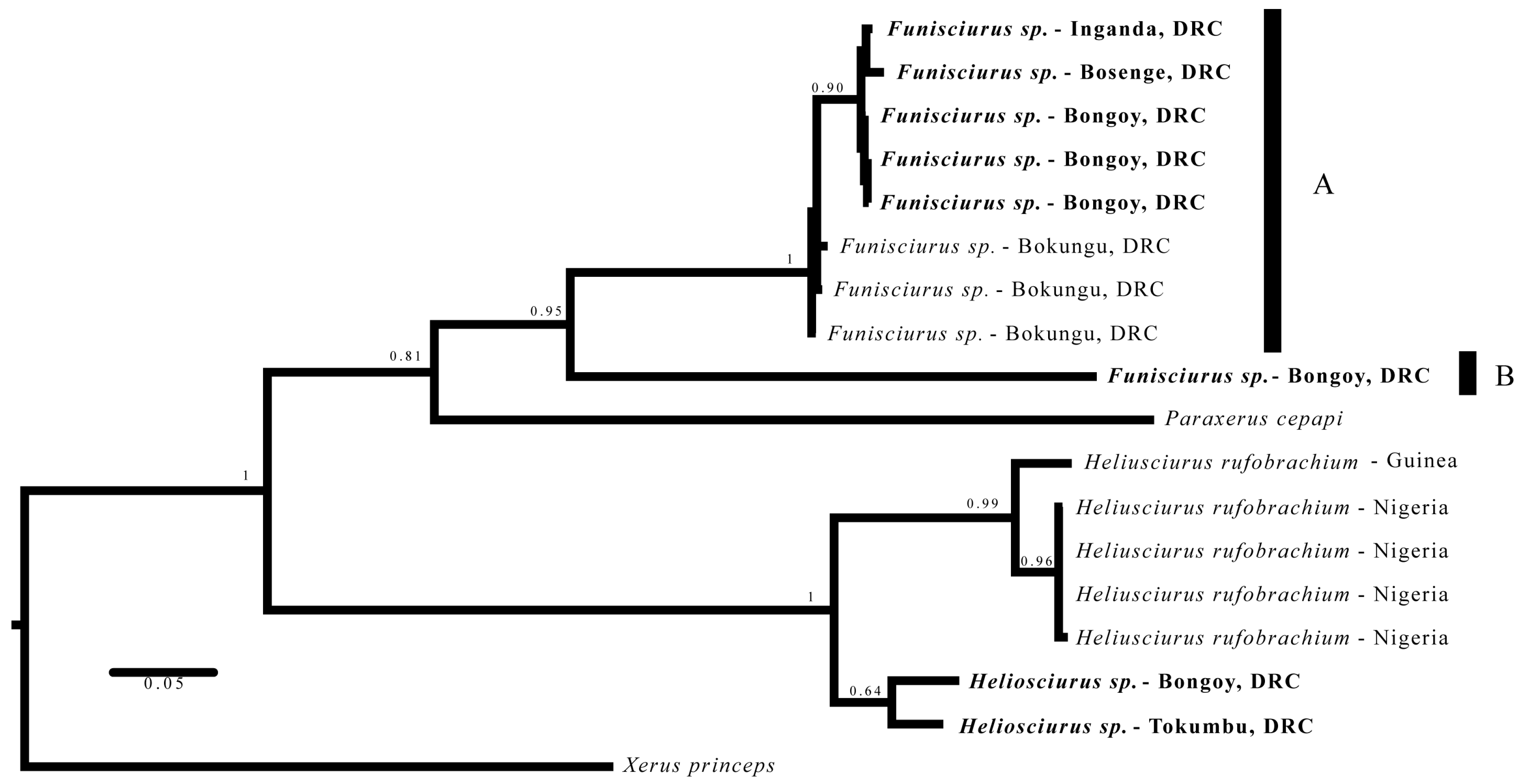 Viruses 09 00283 g003