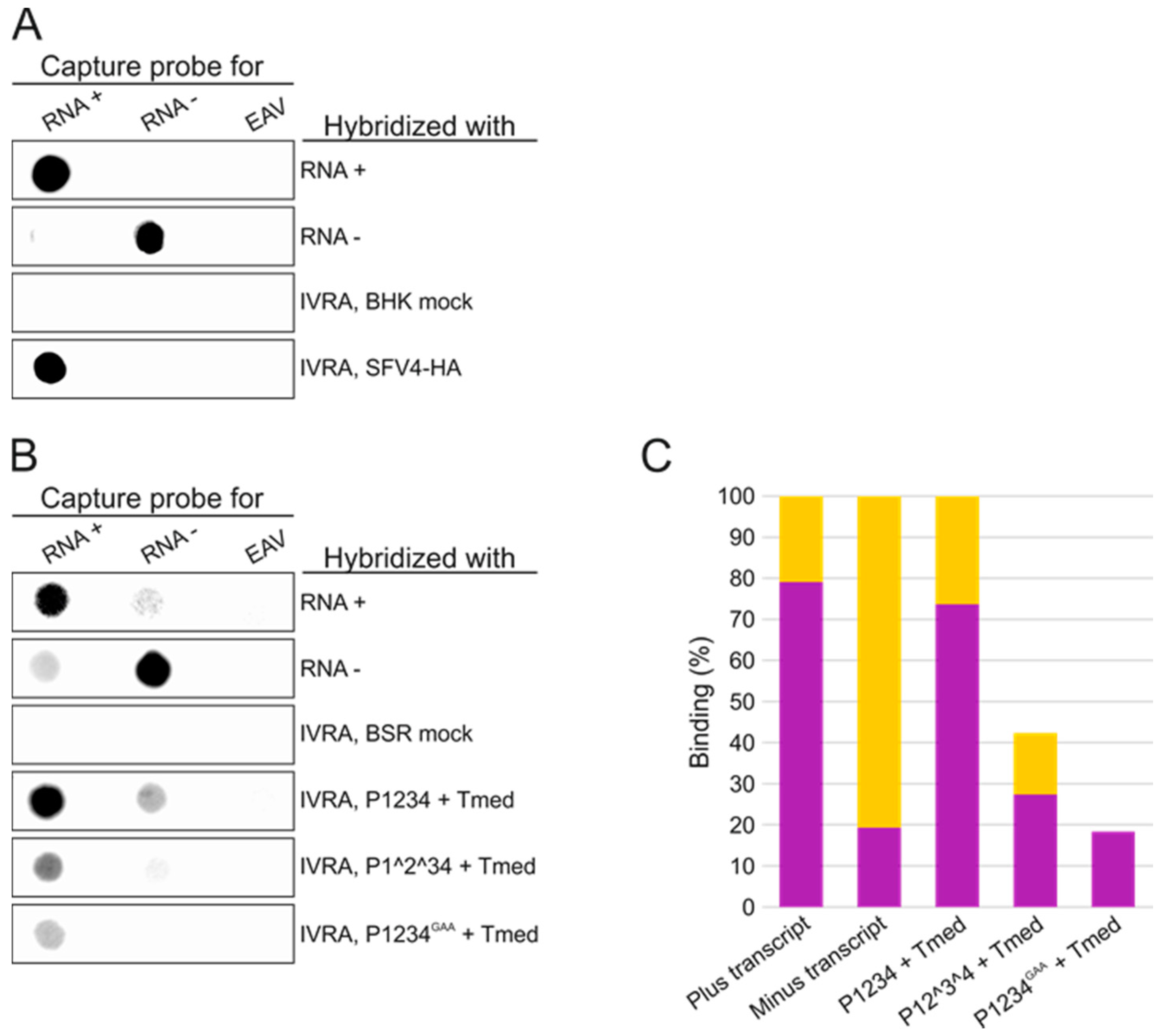 Viruses 09 00292 g005