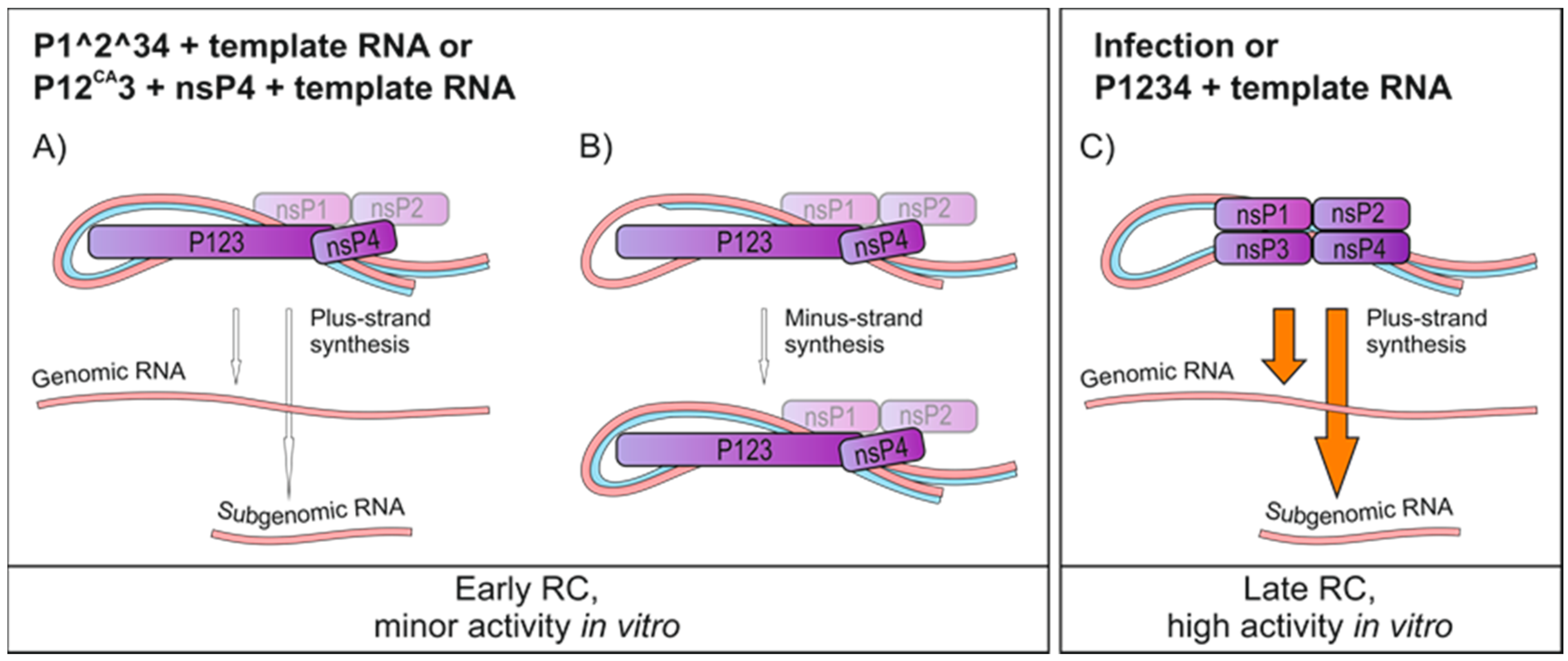 Viruses 09 00292 g008