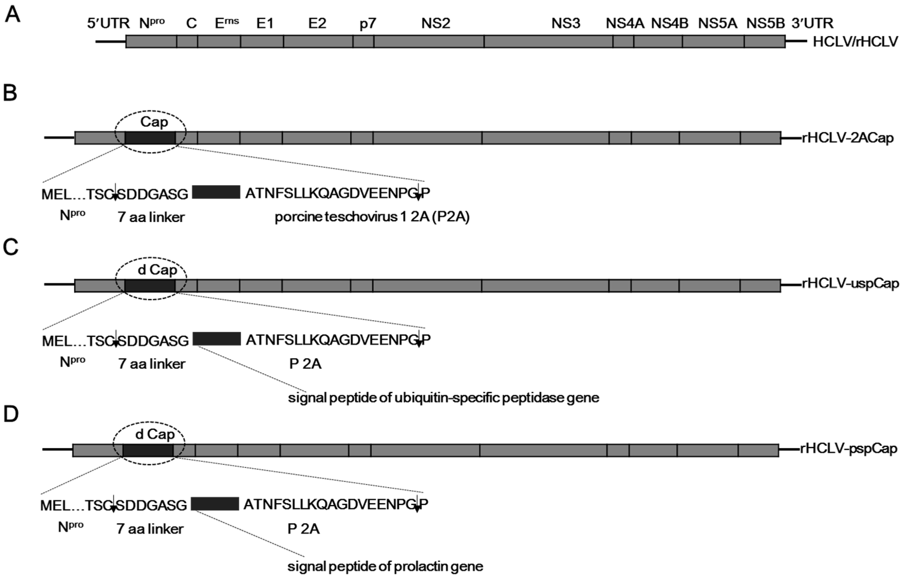 Viruses 09 00298 g001
