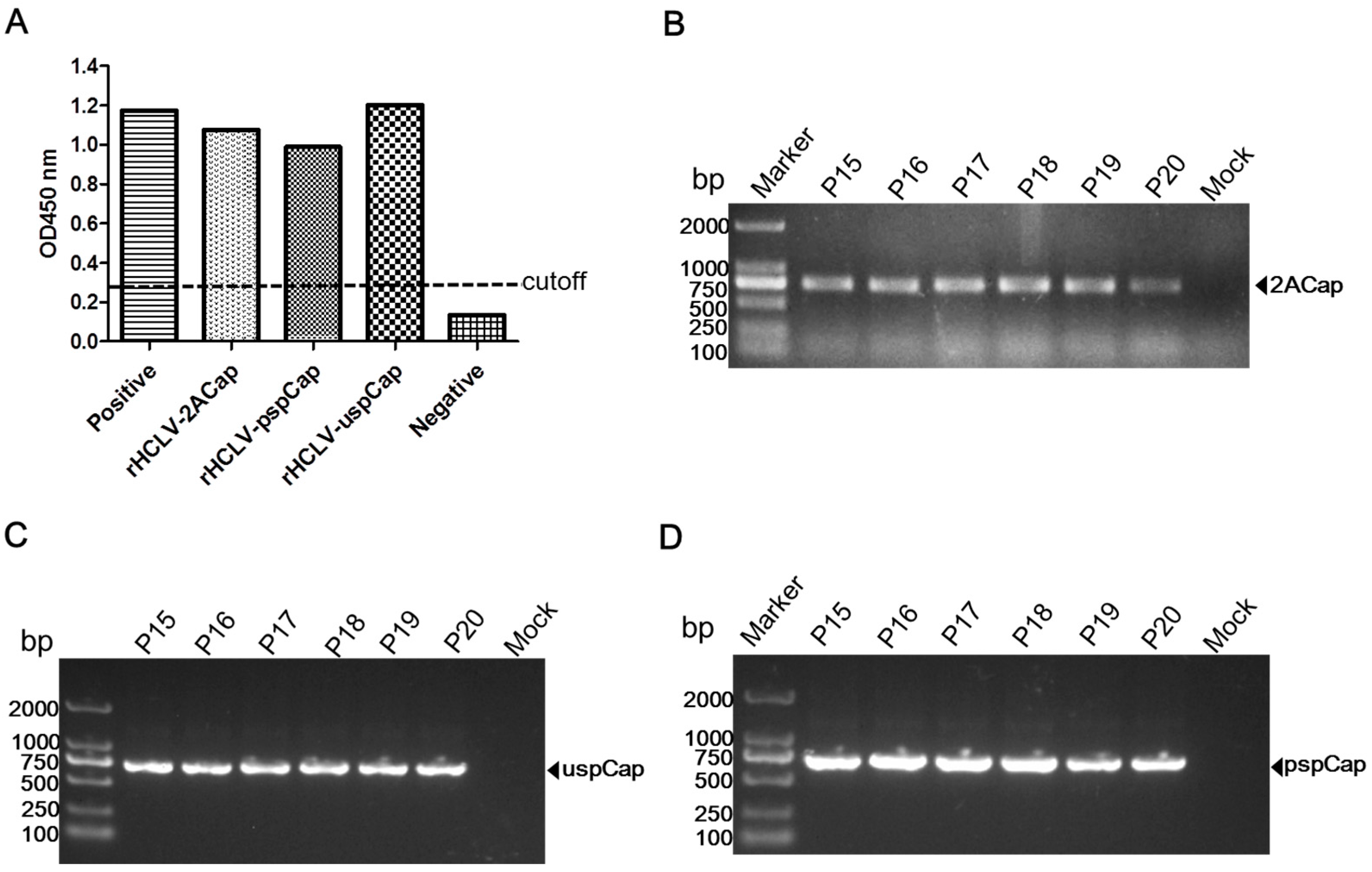 Viruses 09 00298 g002