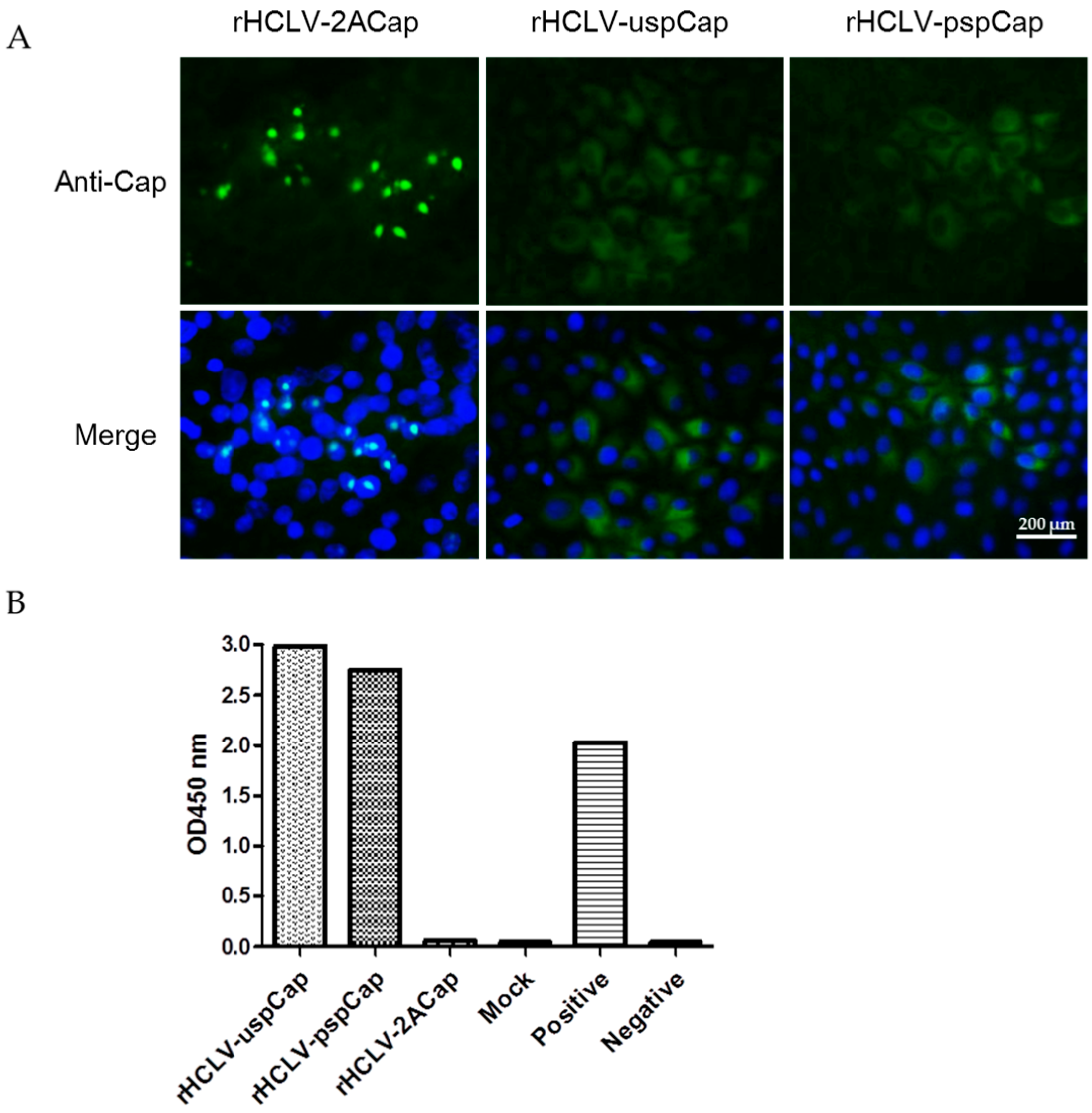 Viruses 09 00298 g003