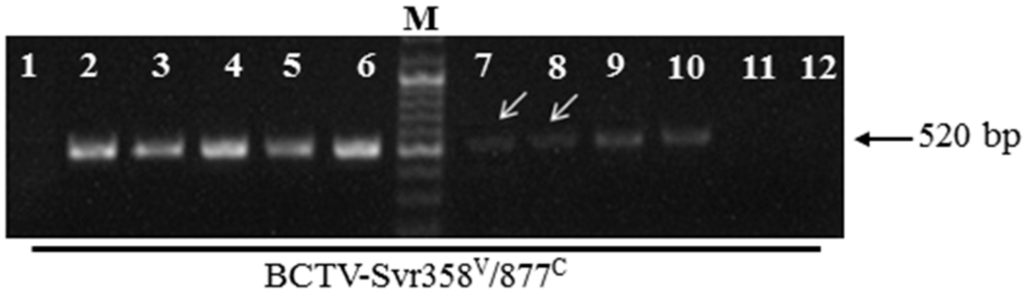 Viruses 09 00299 g003 550