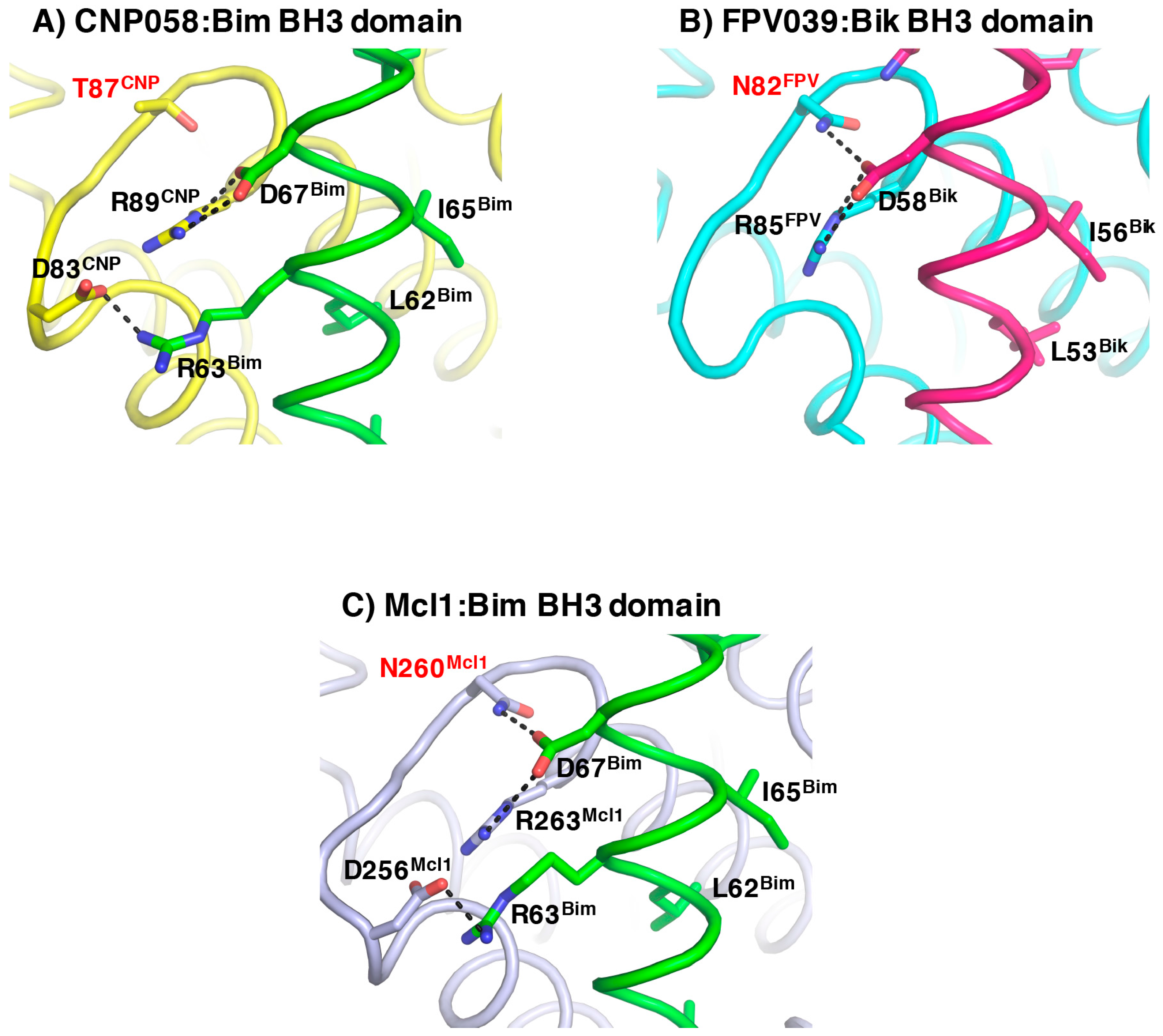 Viruses 09 00305 g008 Viruses 09 00305 g008