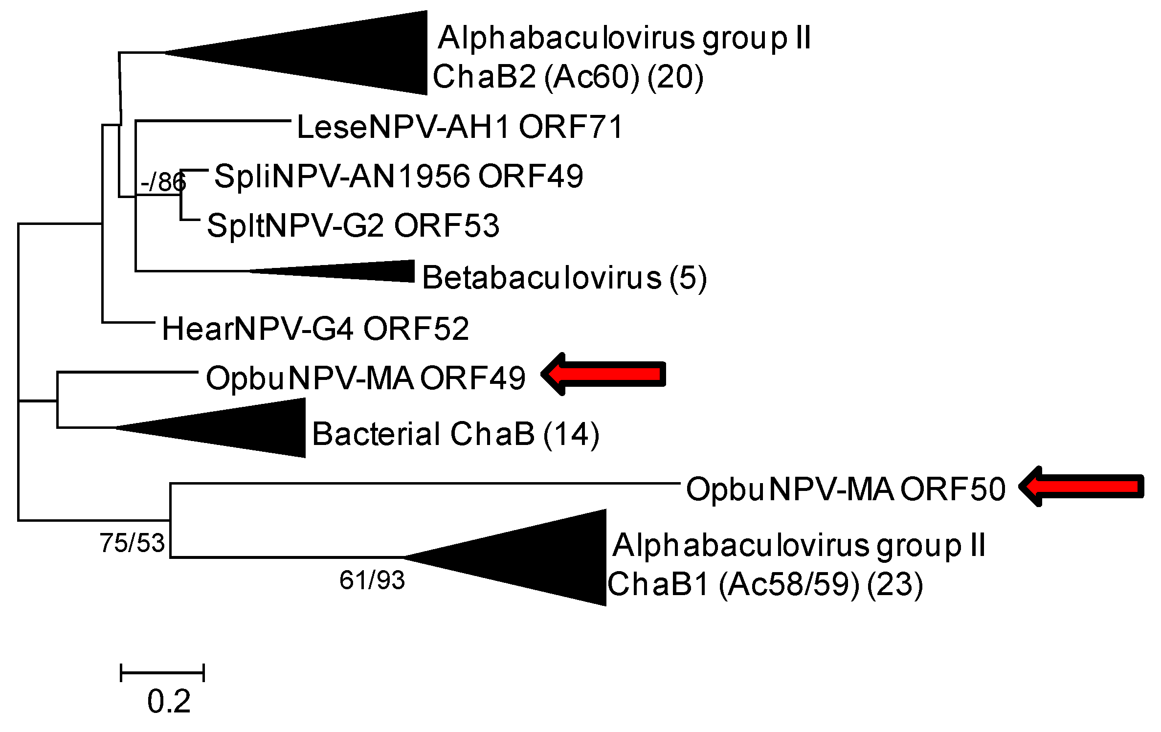 Viruses 09 00307 g006 Viruses 09 00307 g006