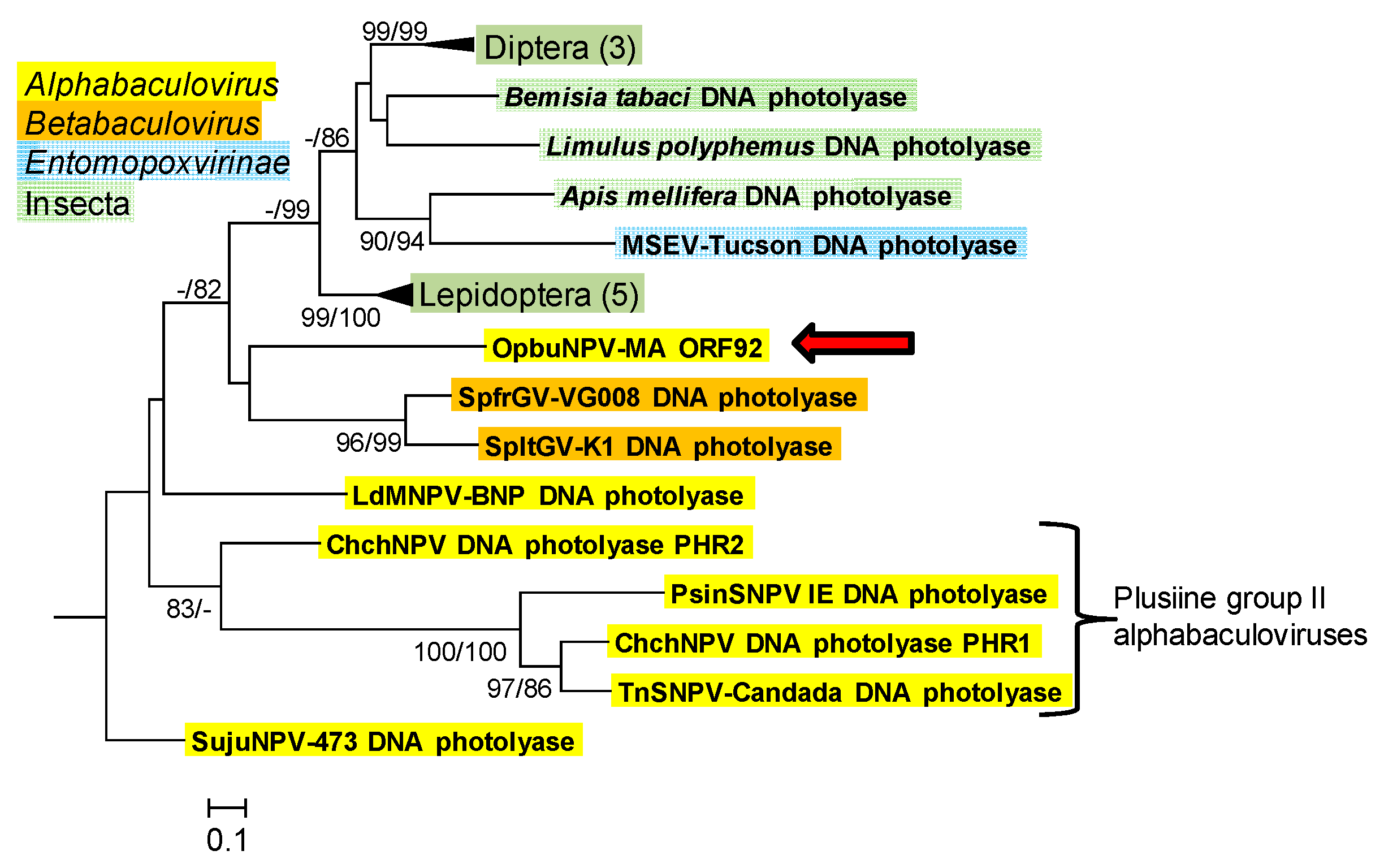 Viruses 09 00307 g007 Viruses 09 00307 g007