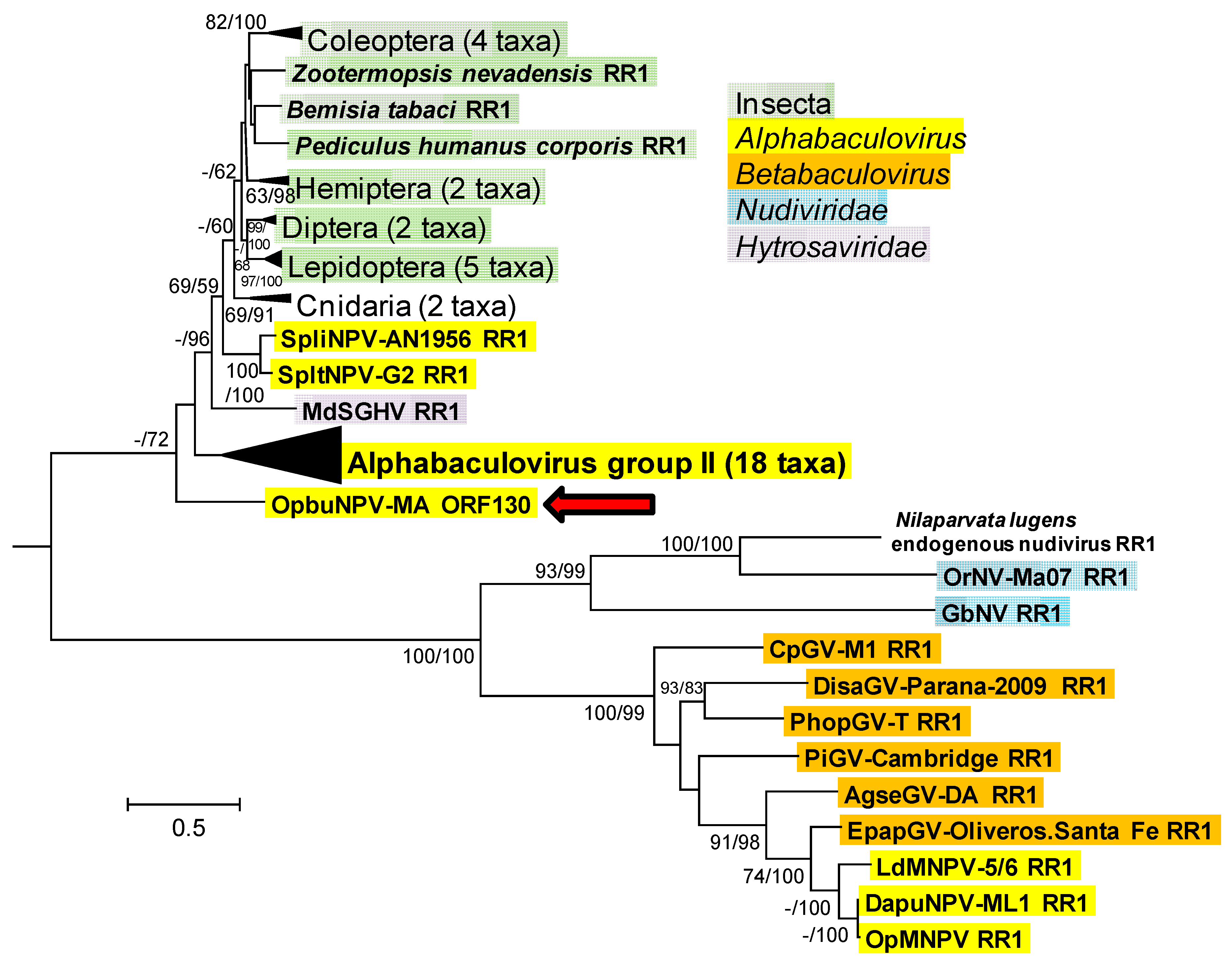 Viruses 09 00307 g008 Viruses 09 00307 g008