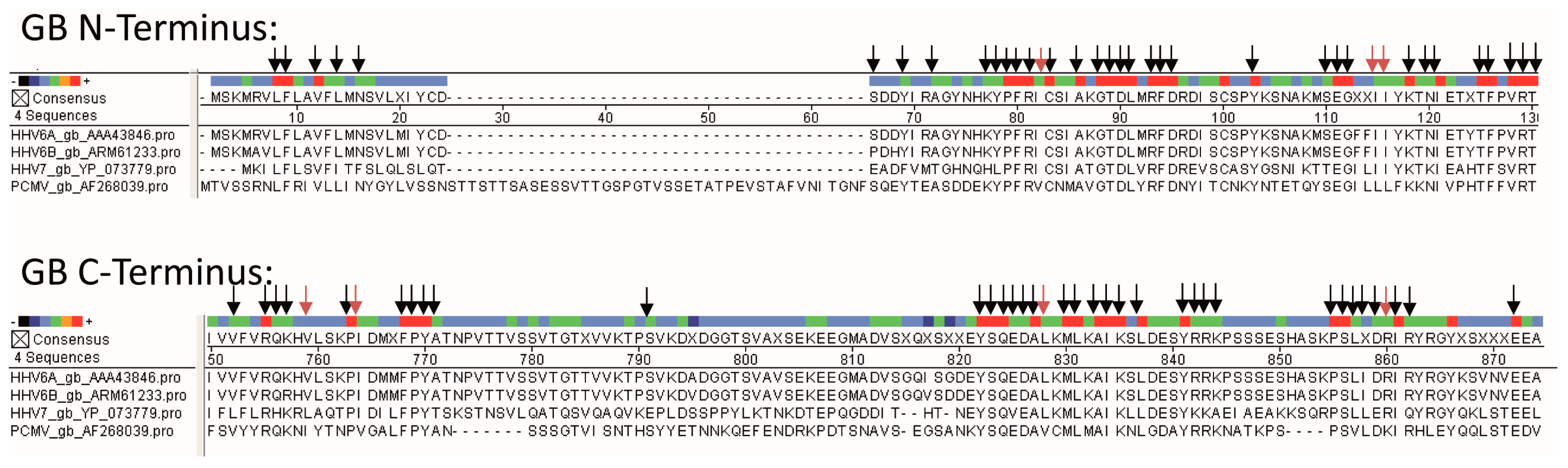 Viruses 09 00317 g003