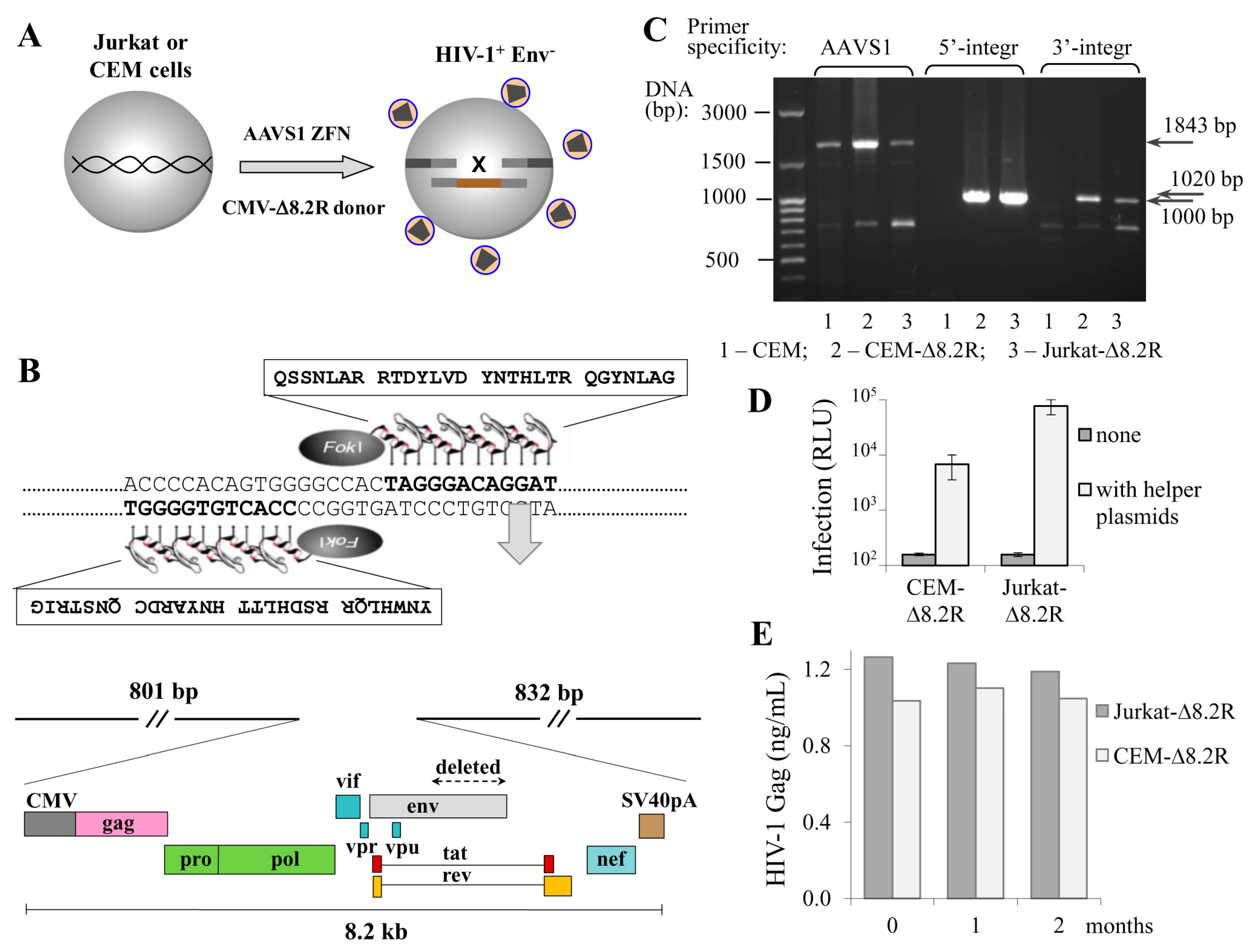 Viruses 09 00325 g001 550