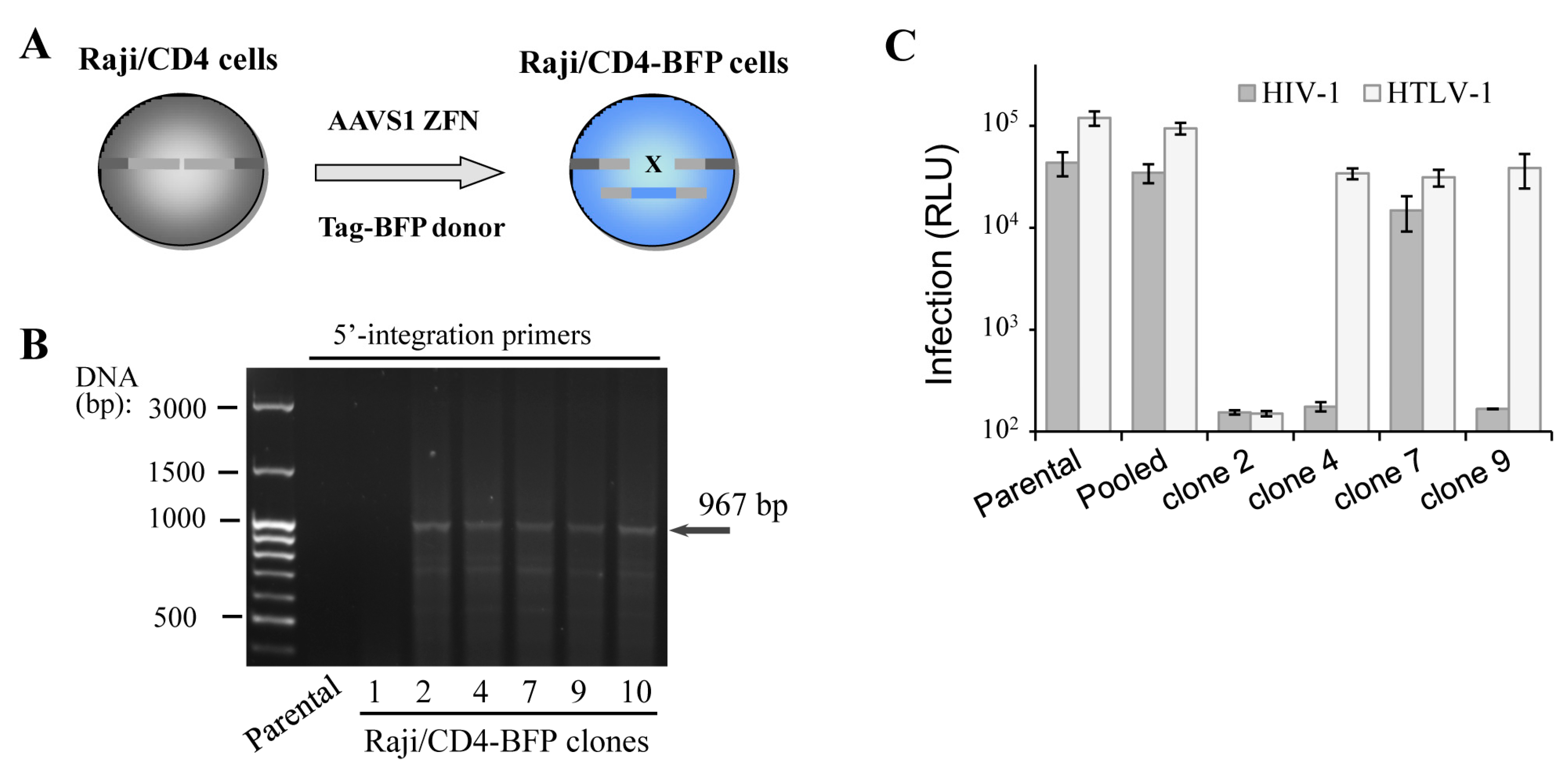 Viruses 09 00325 g002 550