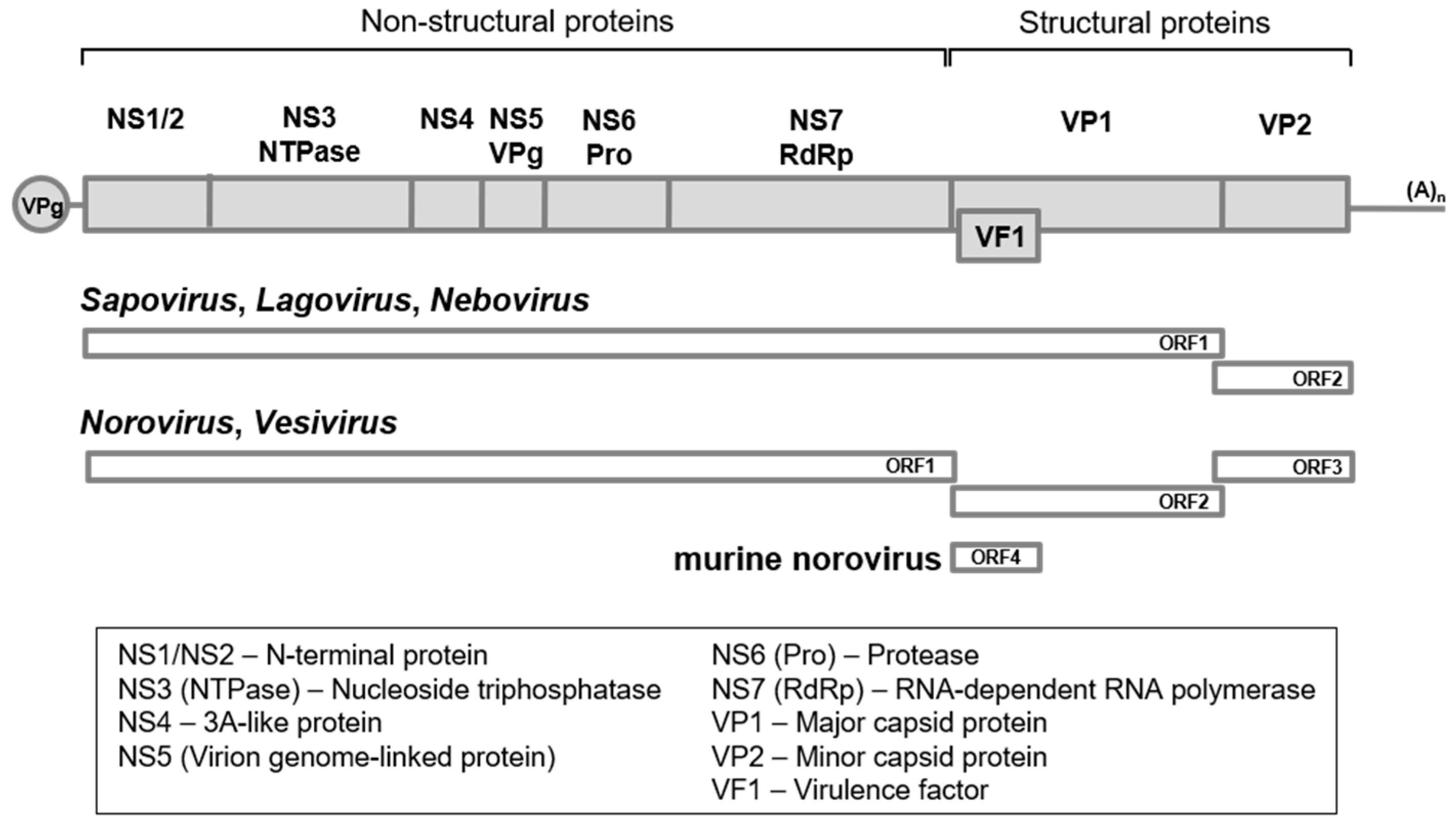 Viruses 09 00329 g001 Viruses 09 00329 g001