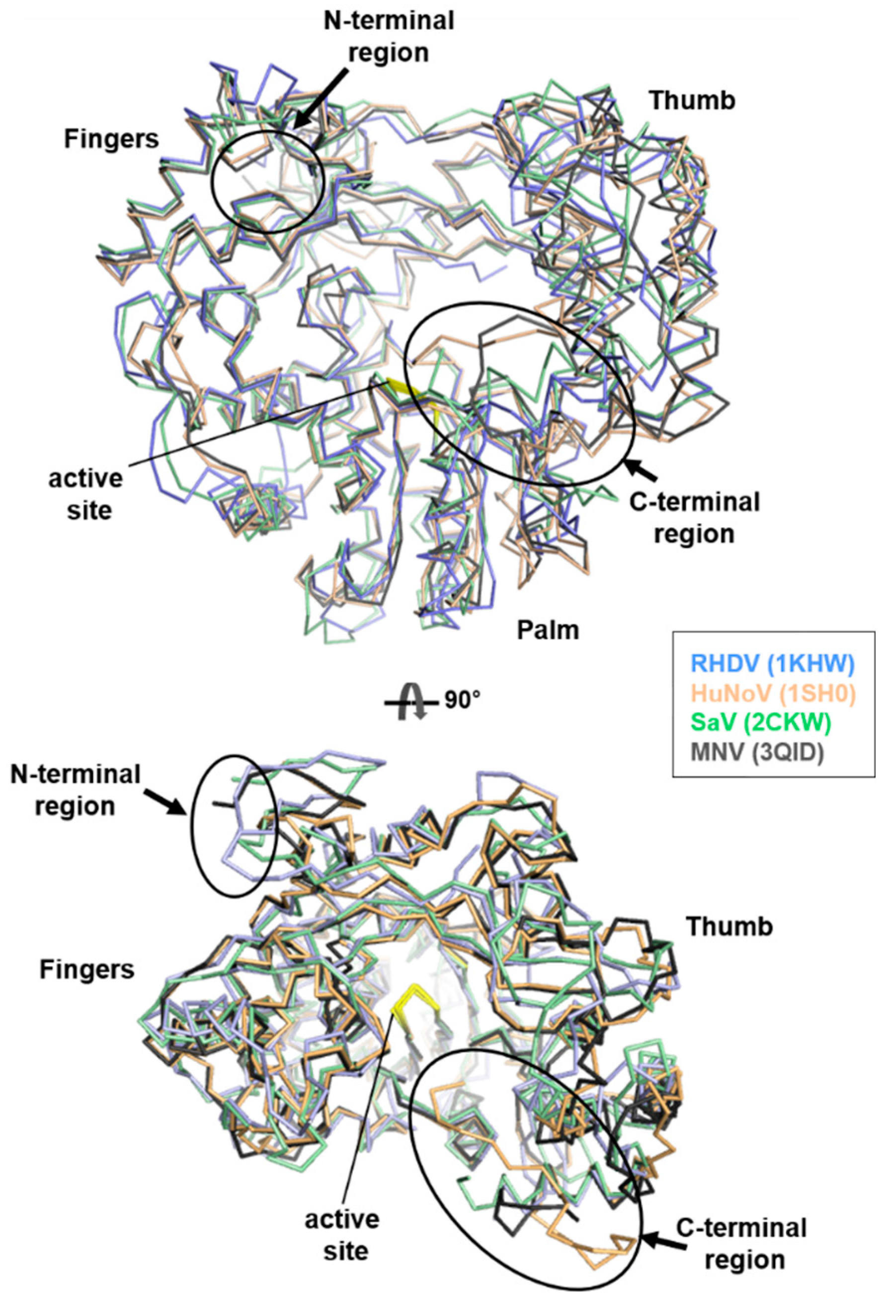 Viruses 09 00329 g002 Viruses 09 00329 g002