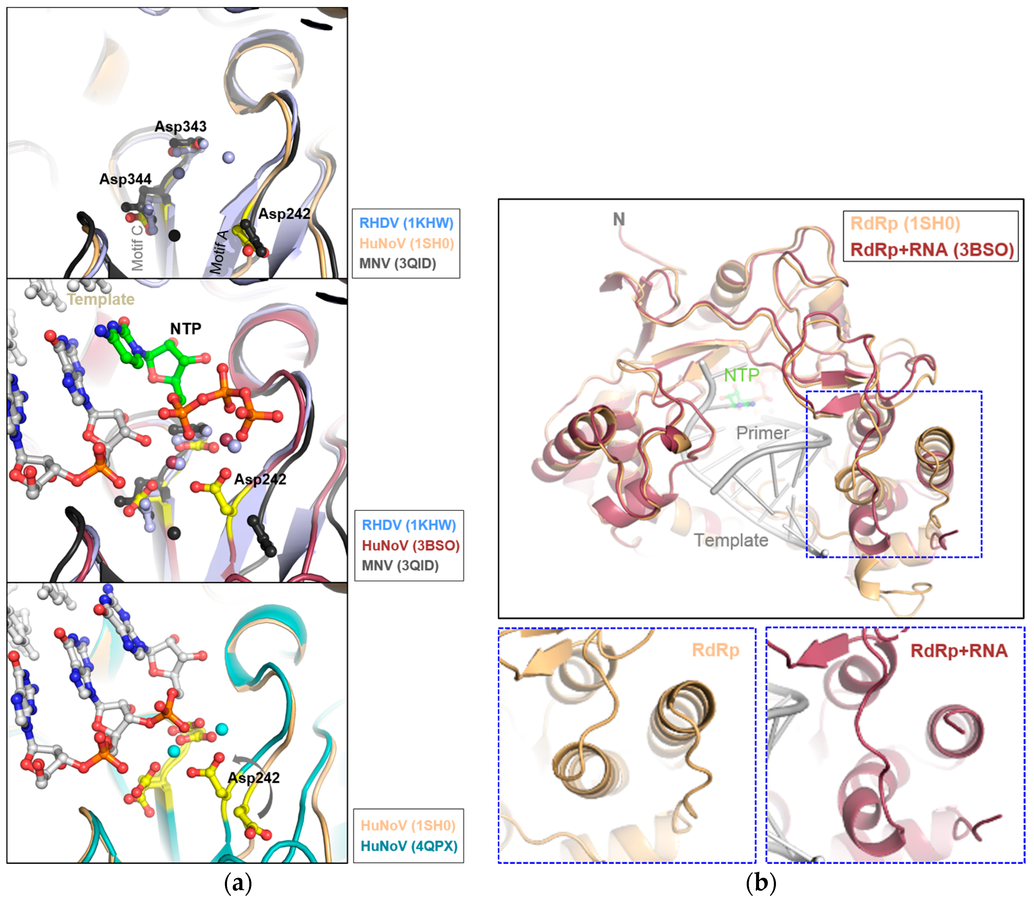 Viruses 09 00329 g003 Viruses 09 00329 g003