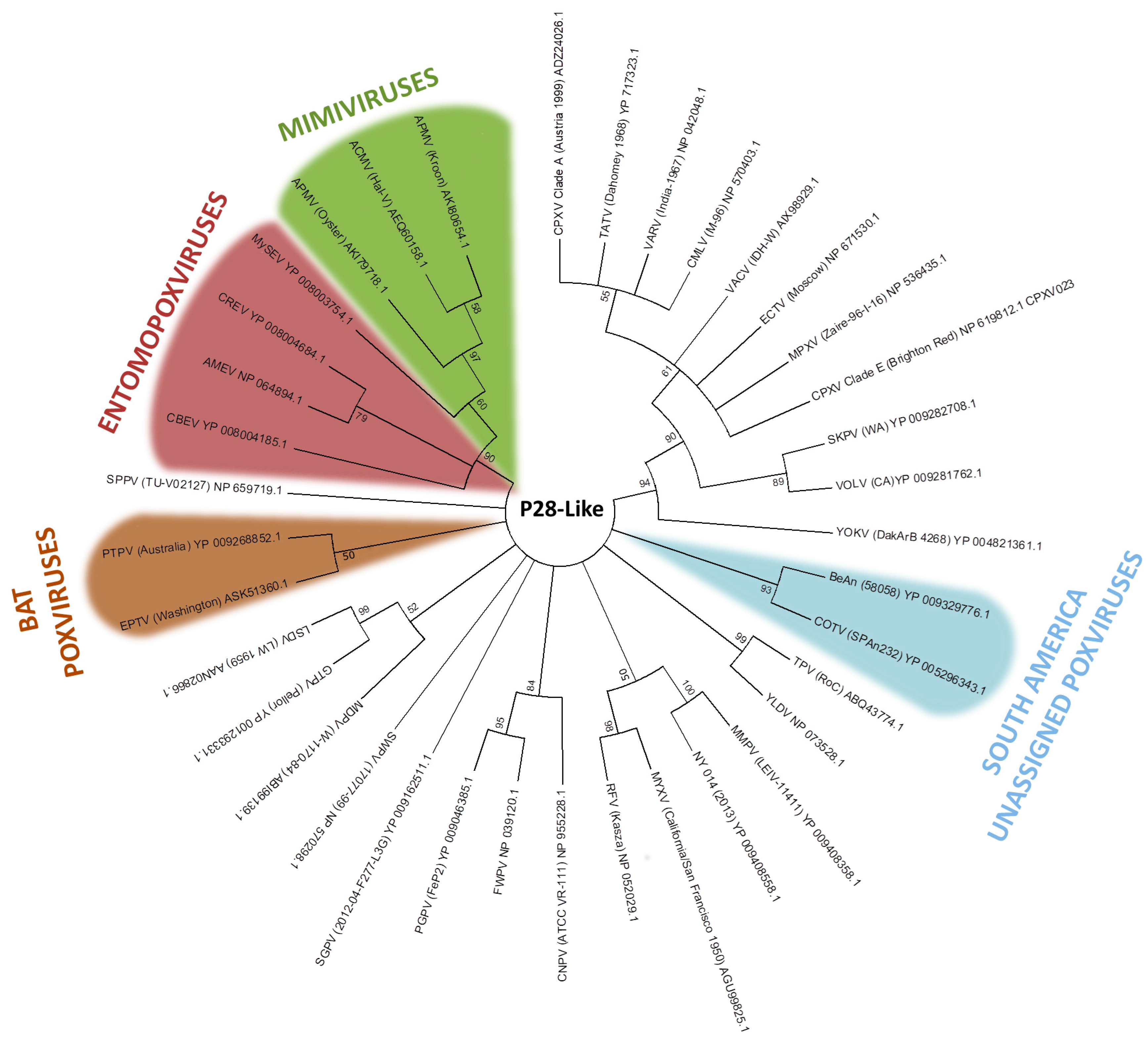 Viruses 09 00331 g004