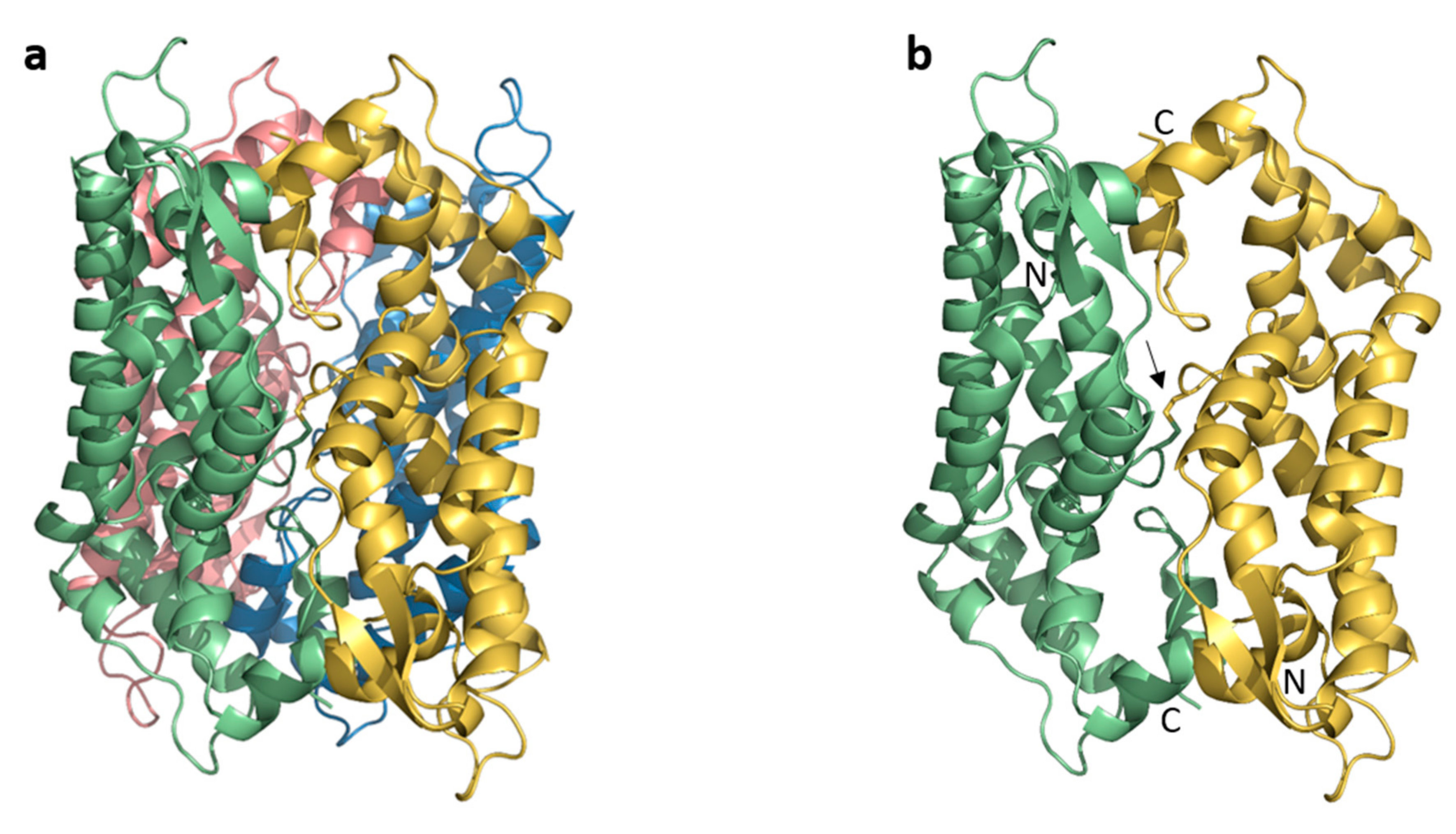 Viruses 09 00335 g001