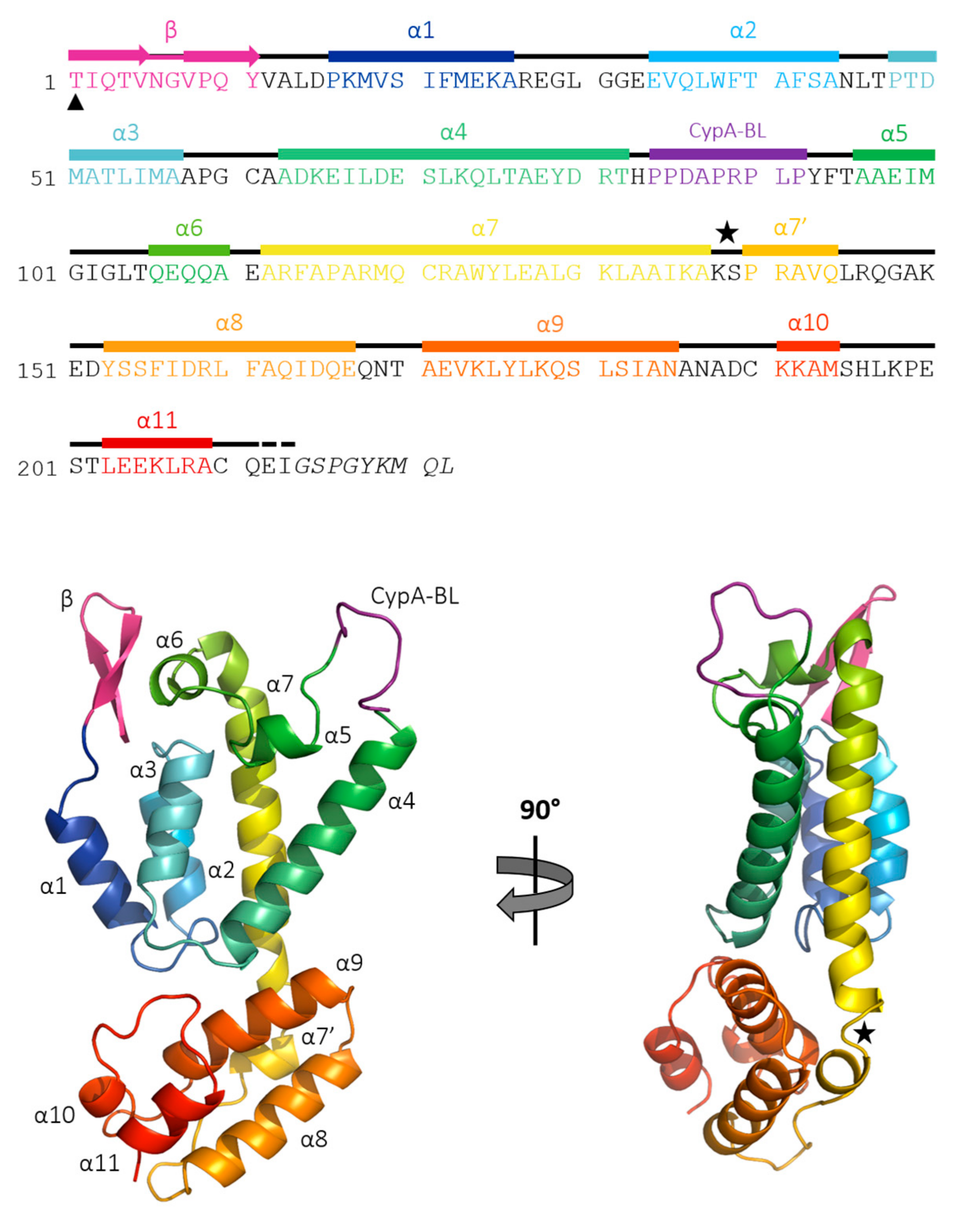 Viruses 09 00335 g002