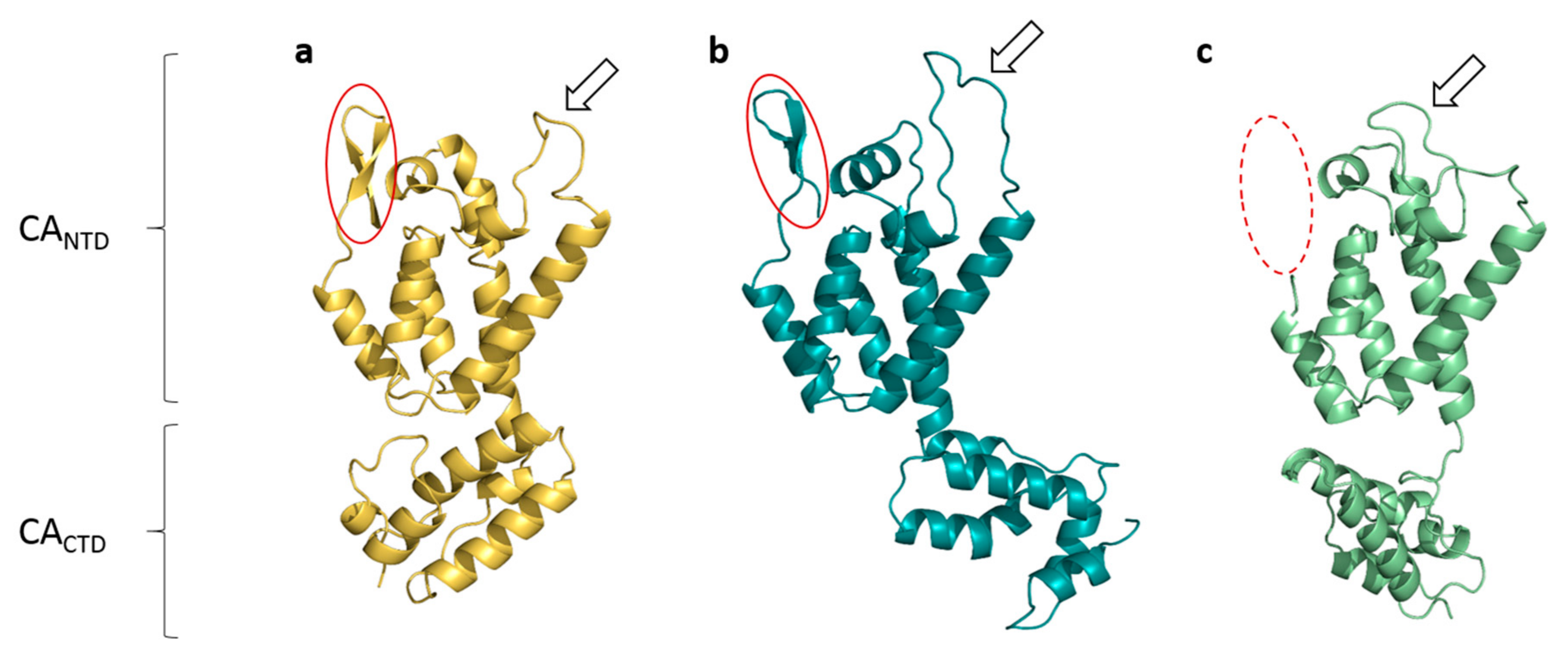 Viruses 09 00335 g003