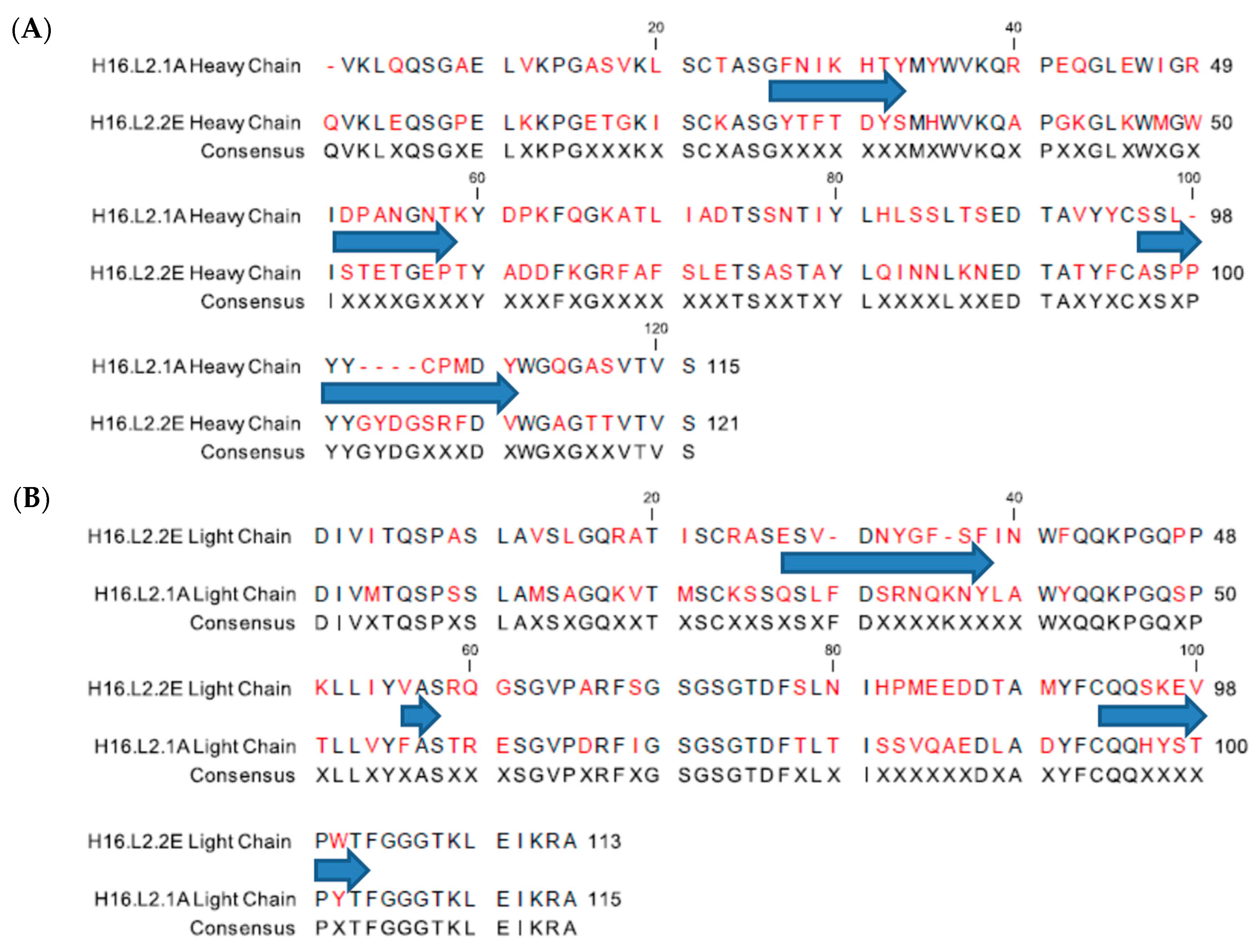 Viruses 09 00336 g001 550