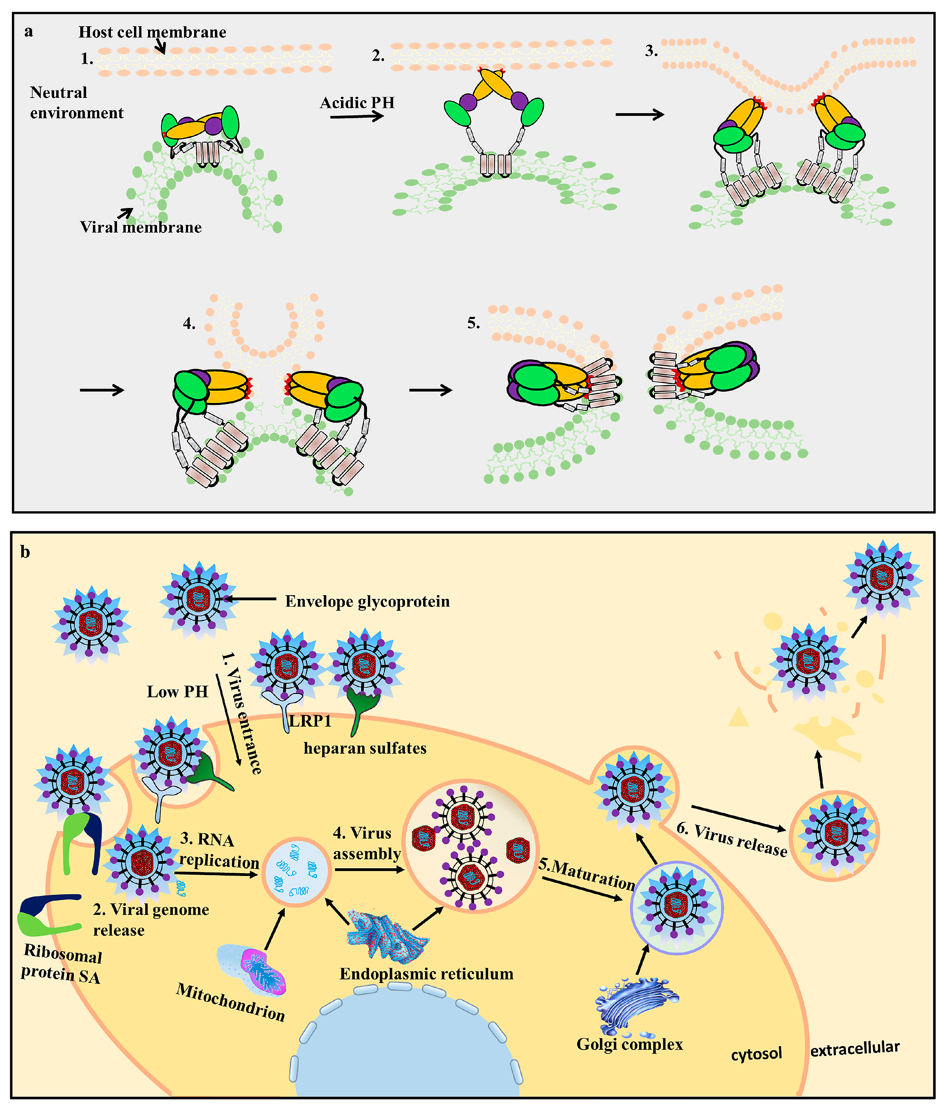 Viruses 09 00338 g003