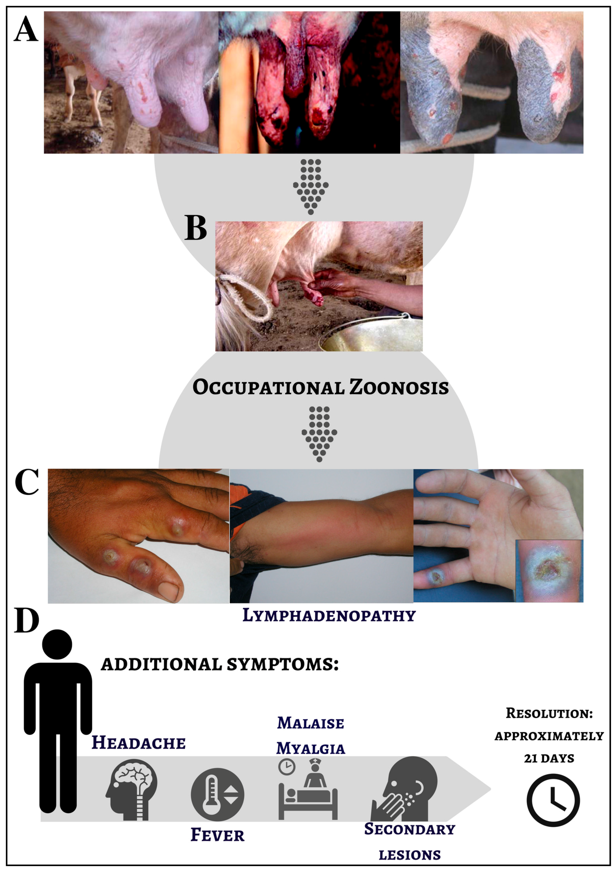 Viruses 09 00340 g002