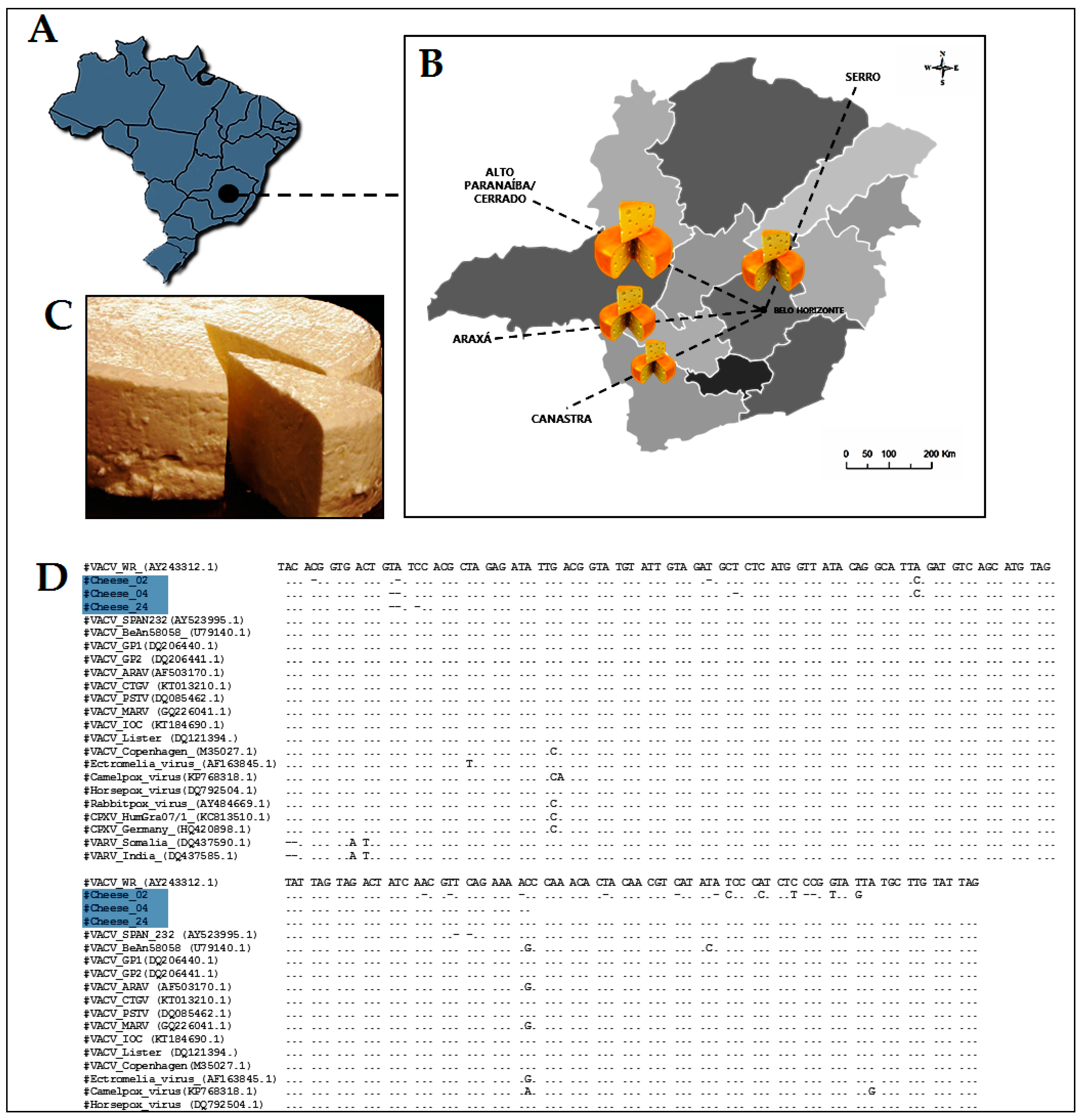 Viruses 09 00340 g004