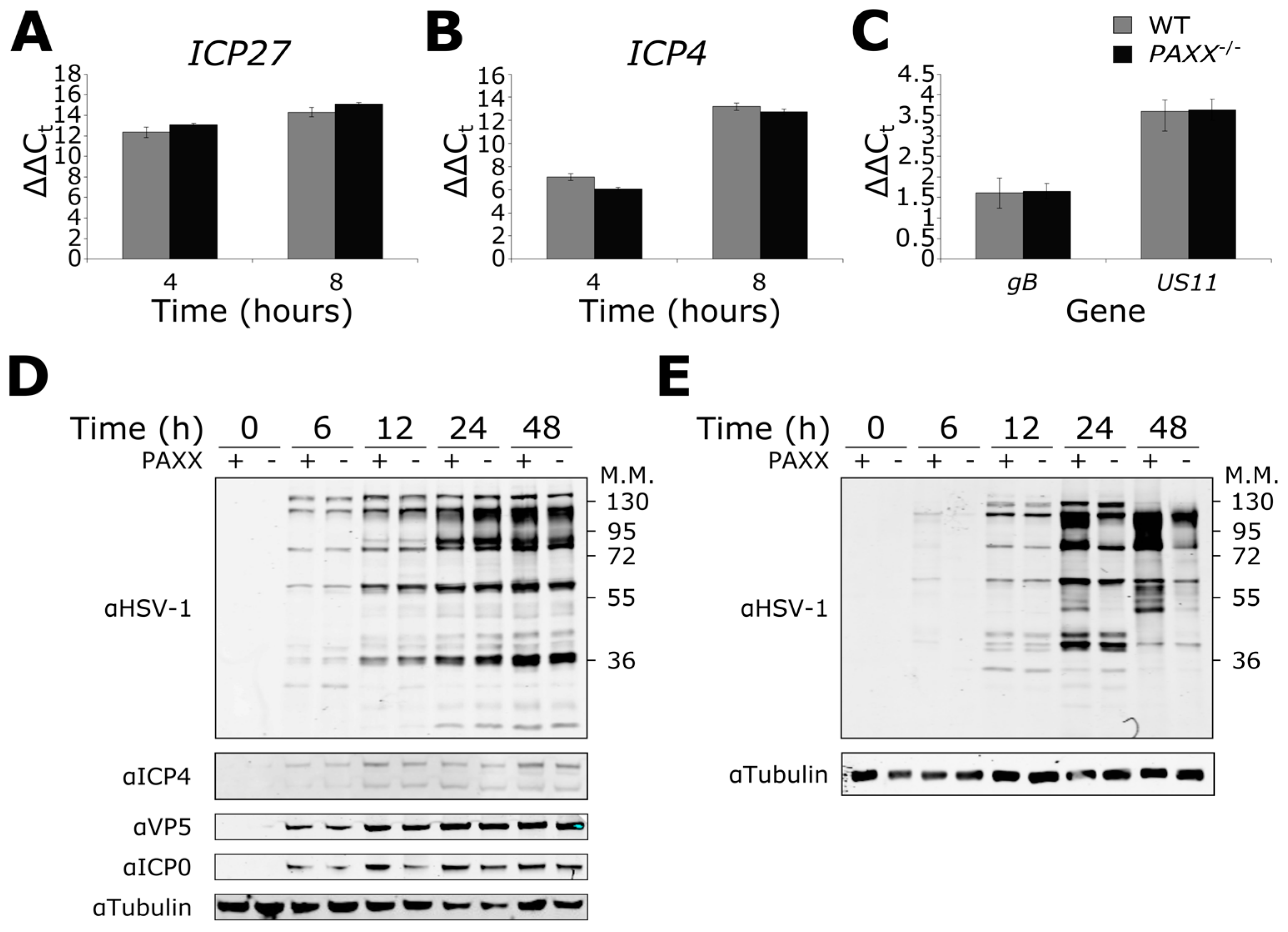 Viruses 09 00342 g005