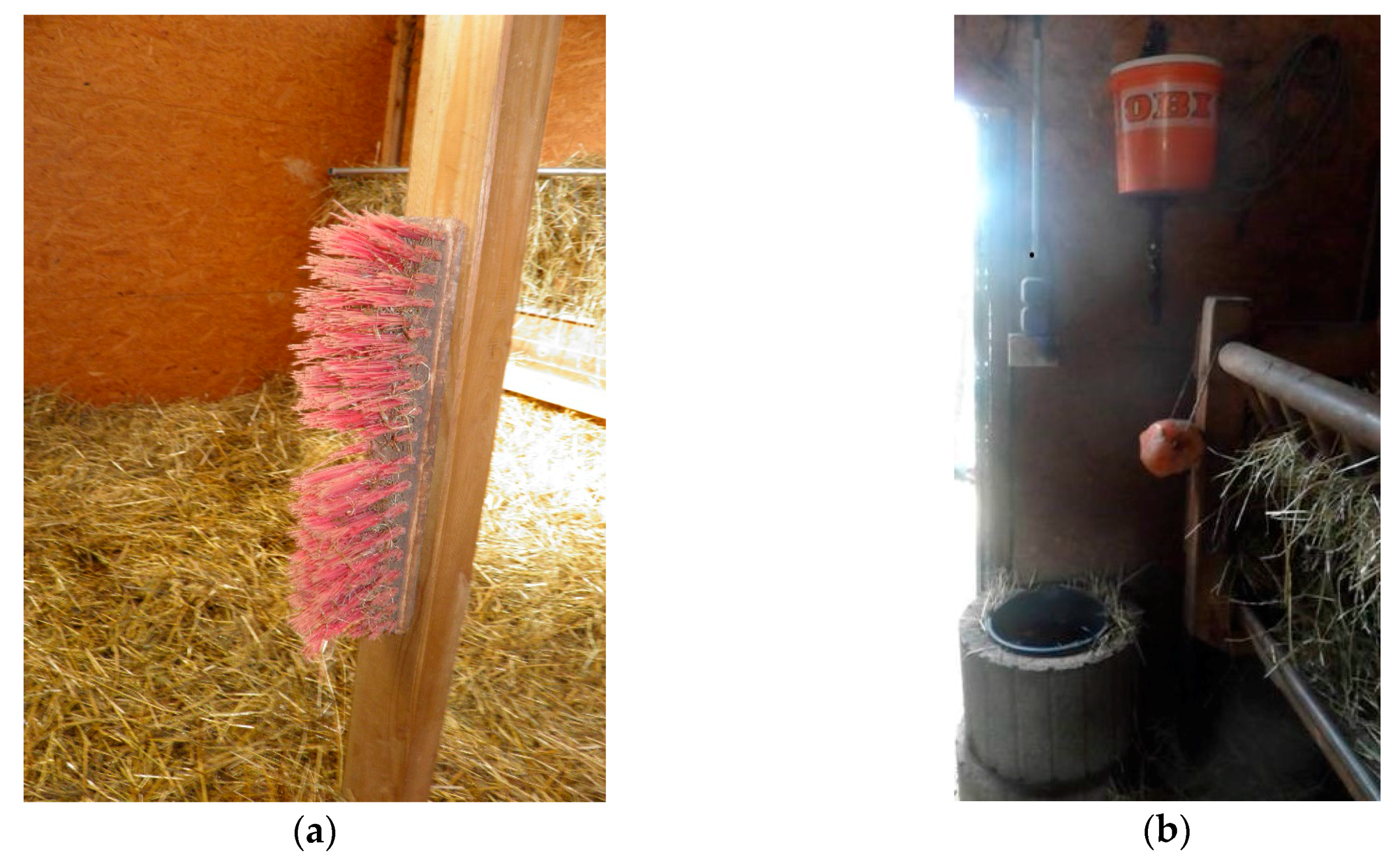 Viruses 09 00344 g001